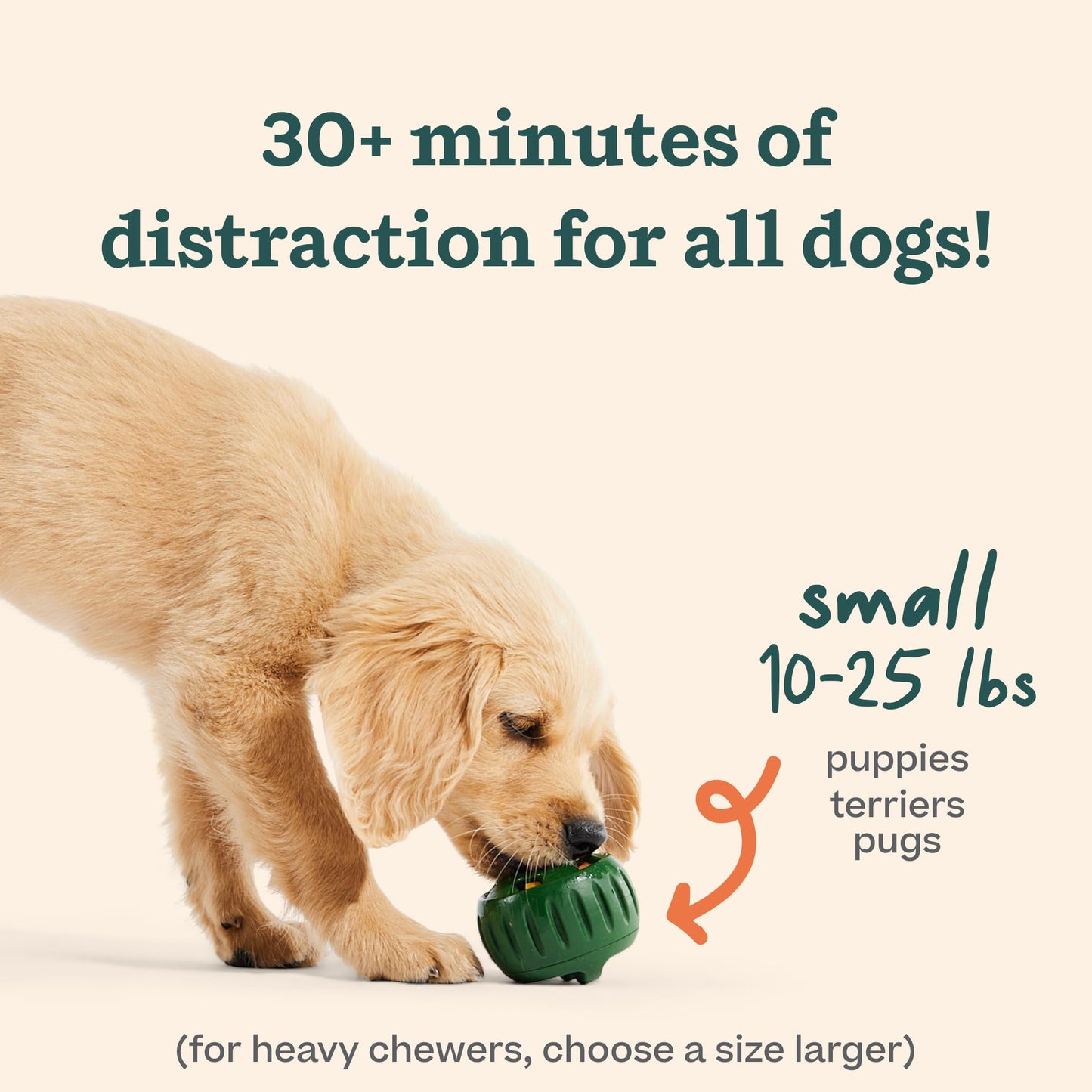 WOOF Starter Pack - Interactive Dog Toys for Boredom The Dachshund Zone