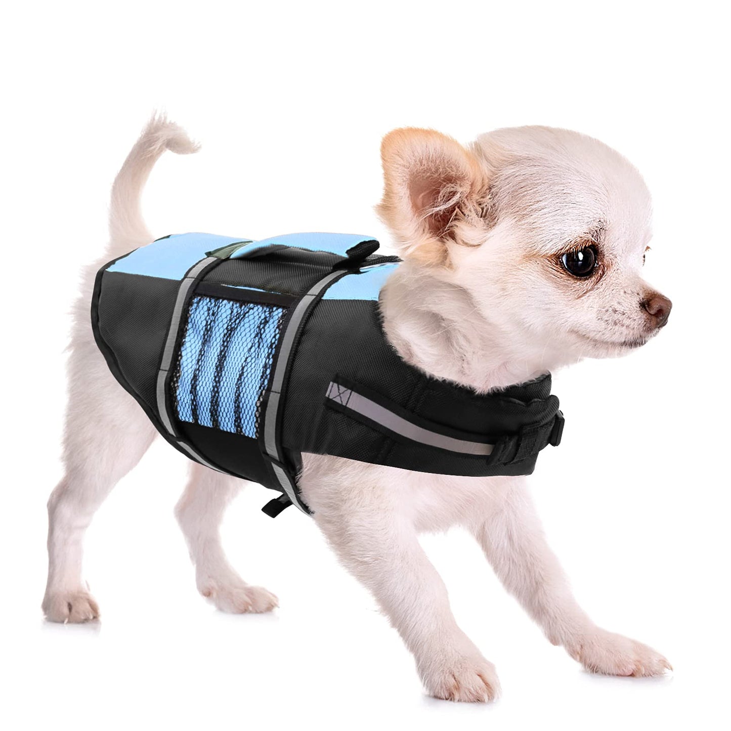 Queenmore Small Dog Life Jacket, Adjustable Pet Life Vest for Small and Medium Dogs with High Buoyancy, Rescue Handle, Reflective Bands for Boating, Canoeing, Swimming The Dachshund Zone