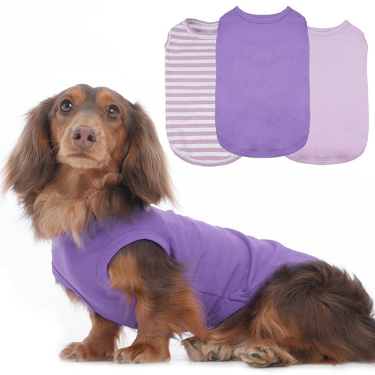 Striped Dog T Shirt for Small Dogs The Dachshund Zone