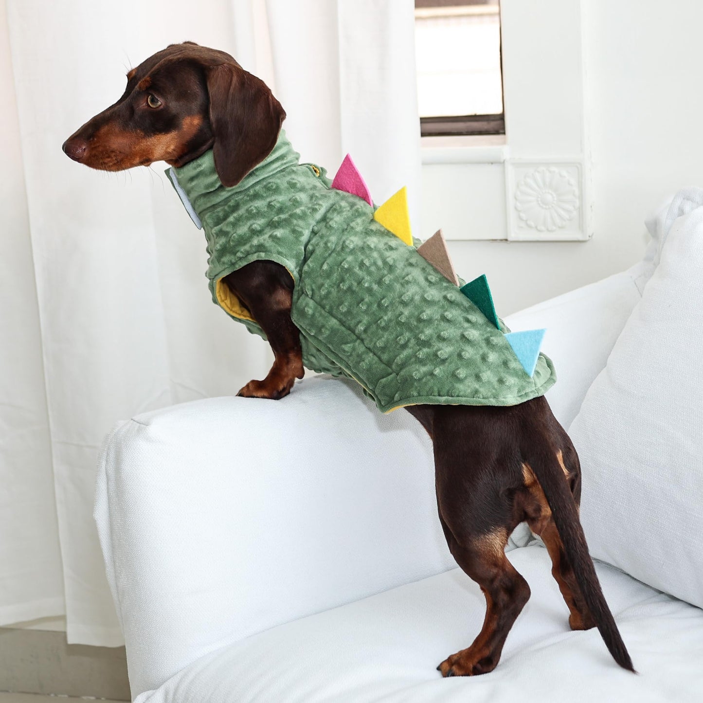 Dinosaur Clothing Dog Shirt The Dachshund Zone