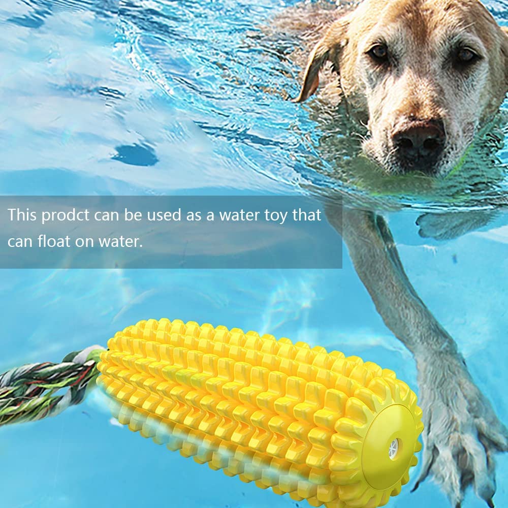 SLAUNT Chew Toys for Aggressive Chewers - Toothbrush Squeaky Interactive Corn Stick Toy for Small Medium Dogs - Teeth Cleaning The Dachshund Zone