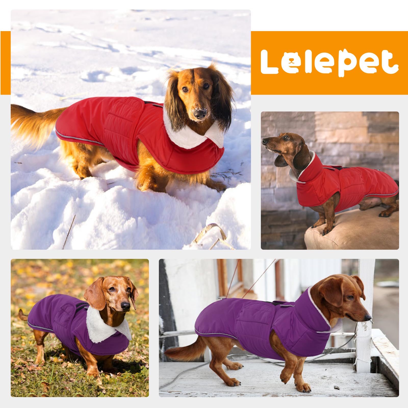 LeLePet Dachshund Coat - Warm, Waterproof Winter Jacket The Dachshund Zone