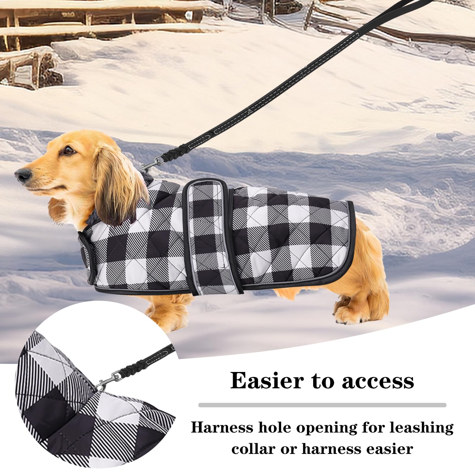 Geyecete Waterproof Warm Thermal Quilted Dachshund Coat with Warm Fleecy Lining Inside The Dachshund Zone
