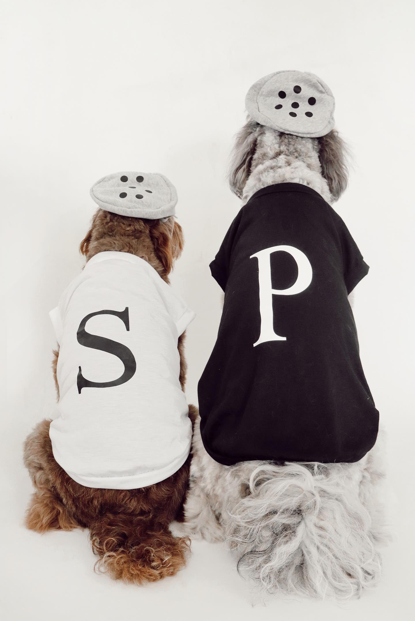 Salt & Pepper Dog Halloween Costume (Pepper, Medium) The Dachshund Zone