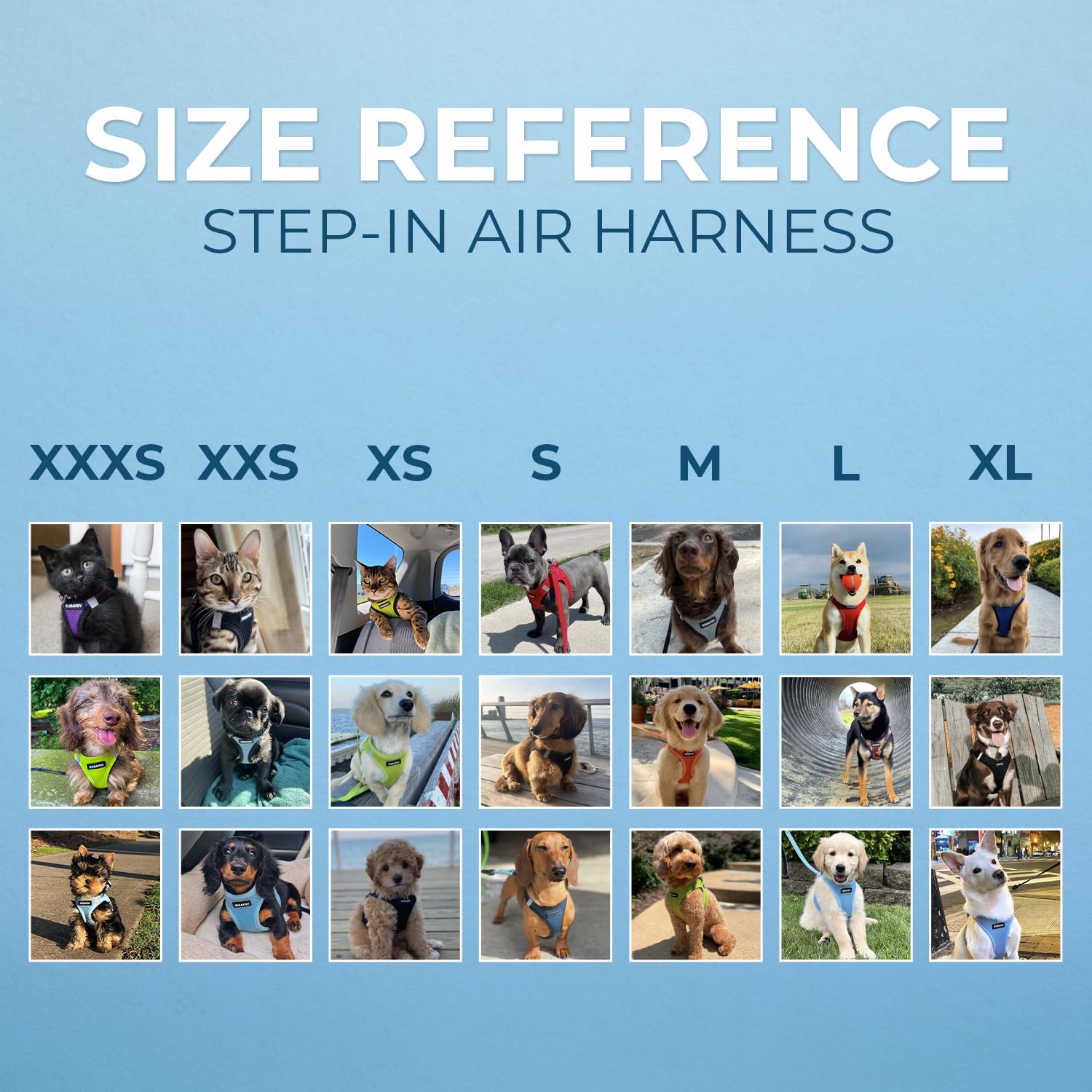 Best Pet Supplies Voyager Step-in Air Harness The Dachshund Zone