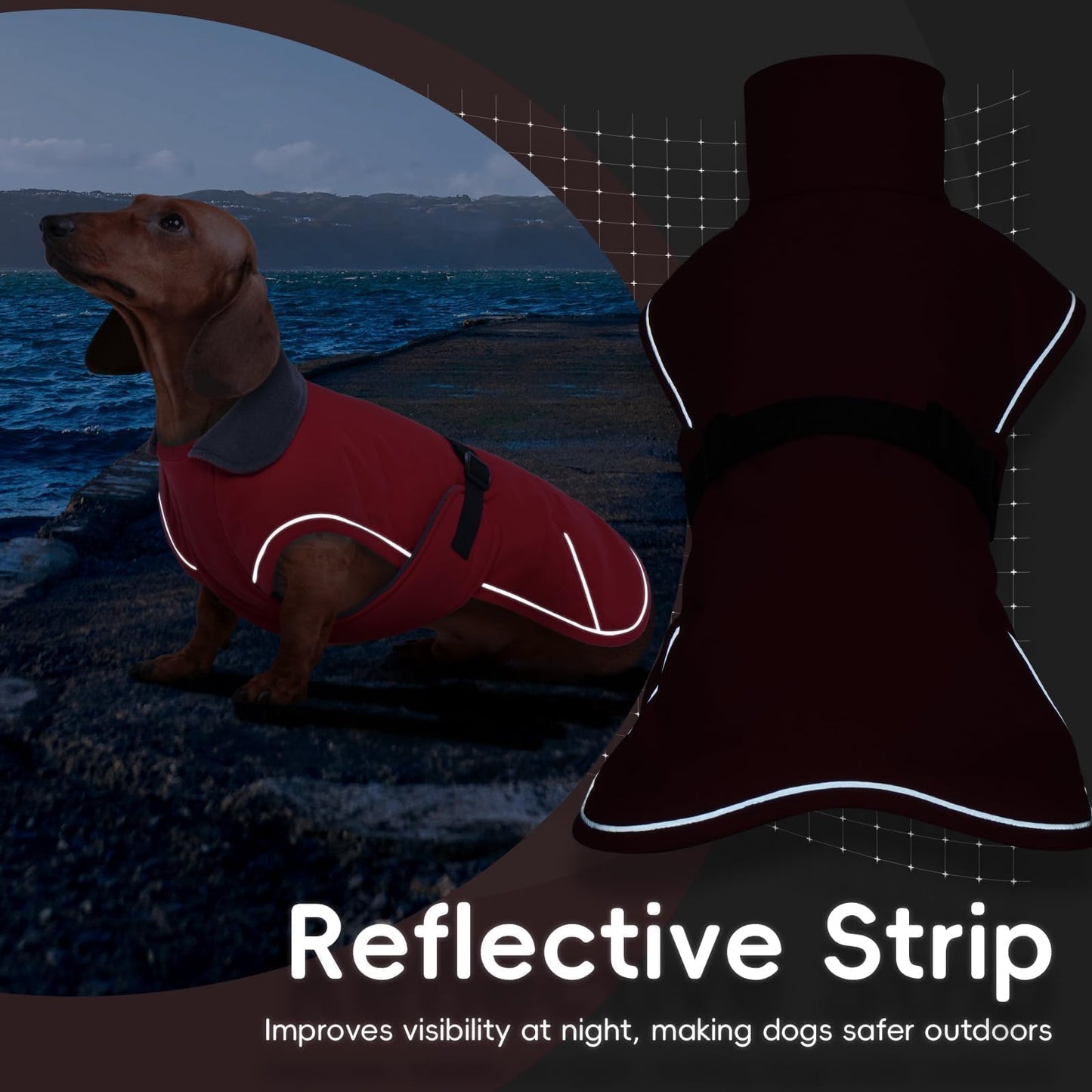 Dachshund Jackets with Adjustable Bands The Dachshund Zone