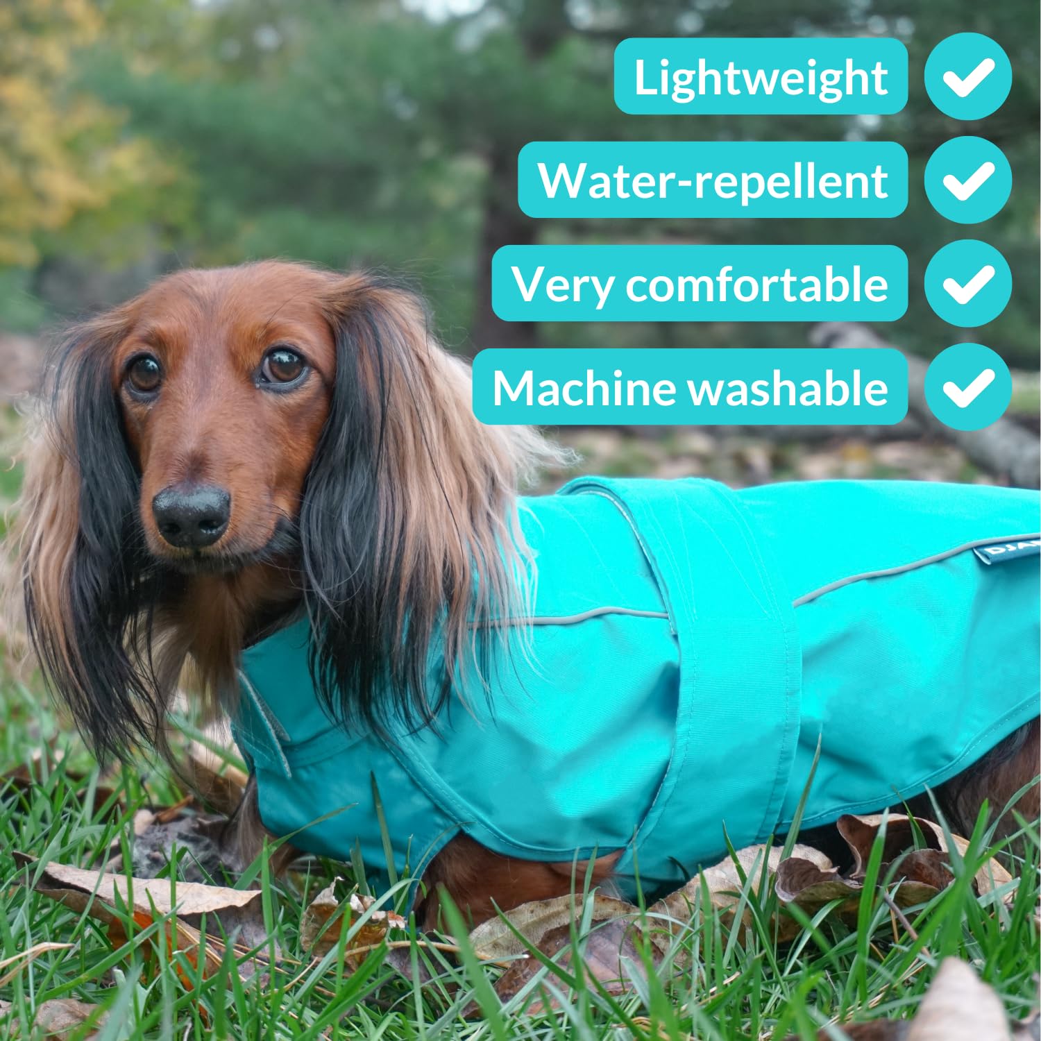 Dog Jacket & Raincoat – Lightweight Water-Resistant The Dachshund Zone