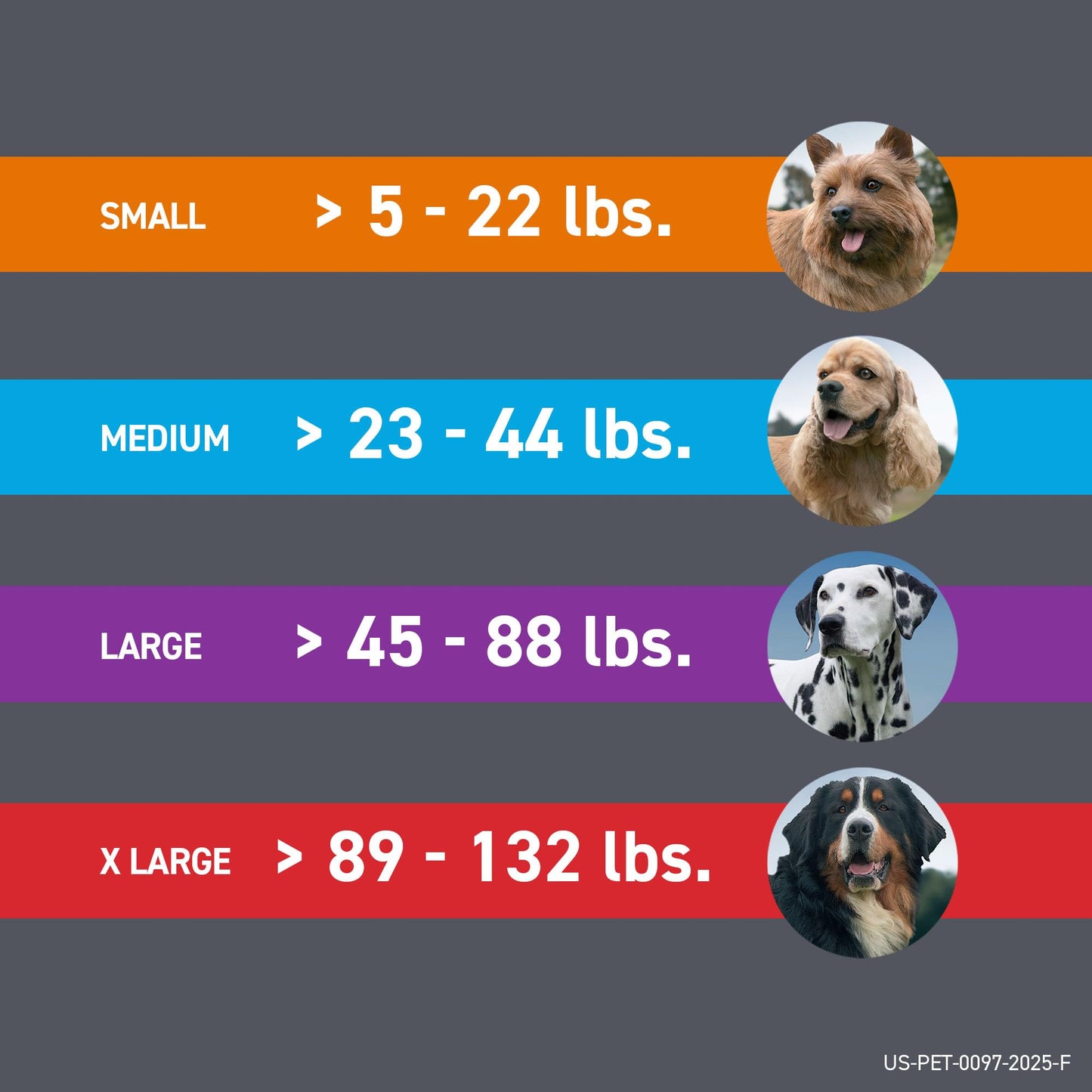 FRONTLINE Plus Flea and Tick Treatment for Small Dogs The Dachshund Zone