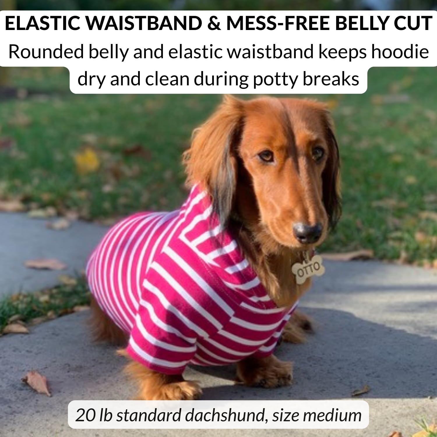 Dog Hoodie – Warm, Lightweight, Soft & Stretchy Dog Sweater The Dachshund Zone