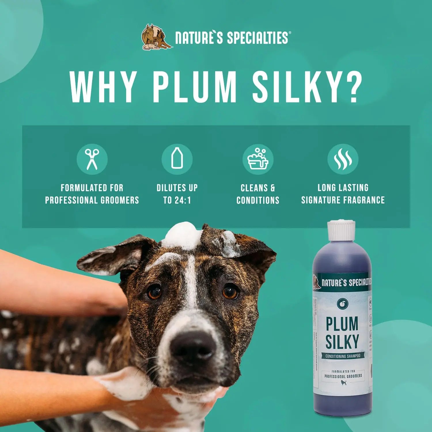 Nature's Specialties Plum Silky Ultra Concentrated Shampoo The Dachshund Zone