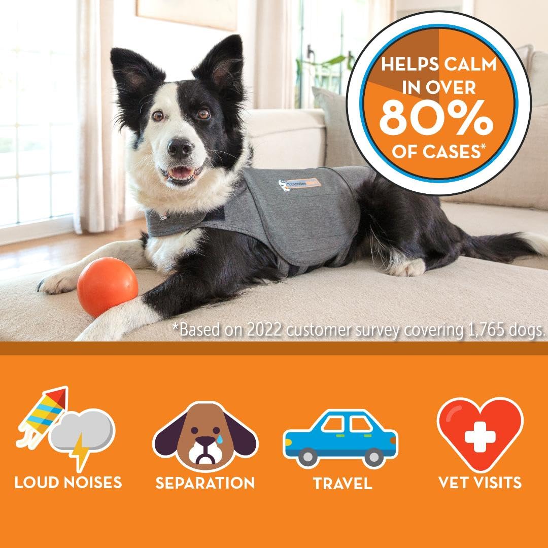 ThunderShirt for Dogs, X Small, Heather Gray Classic - Dog Anxiety Relief Calming Vest The Dachshund Zone