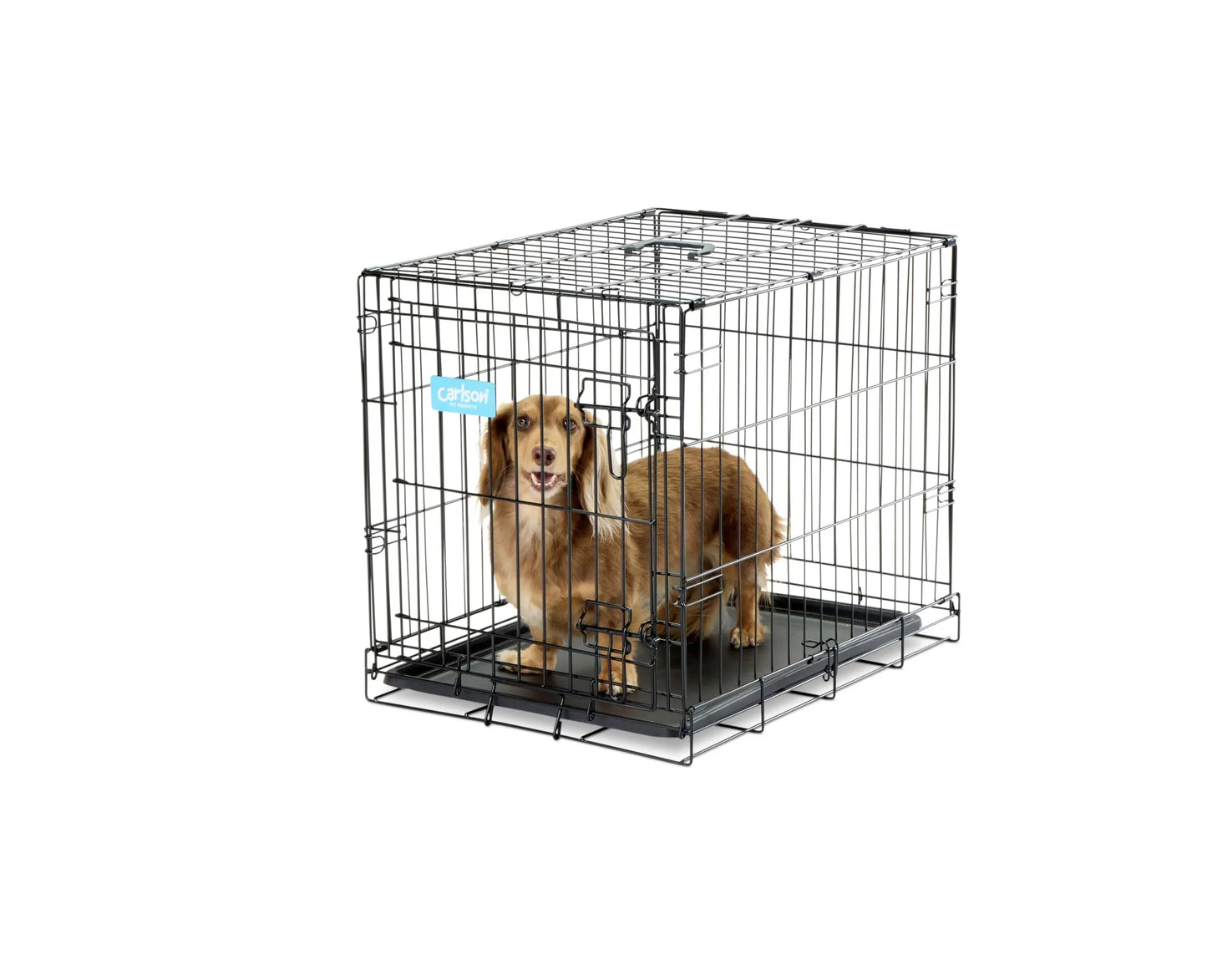 Carlson SECURE AND FOLDABLE Metal Dog Crate, Small, 24.0"L x 18.0"W x 19.0"H The Dachshund Zone