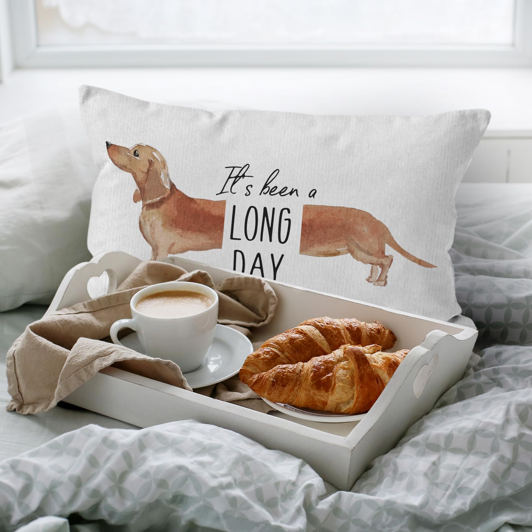 It's Been A Long Day Pet Dog Dachshund Decorative Pillowcase The Dachshund Zone