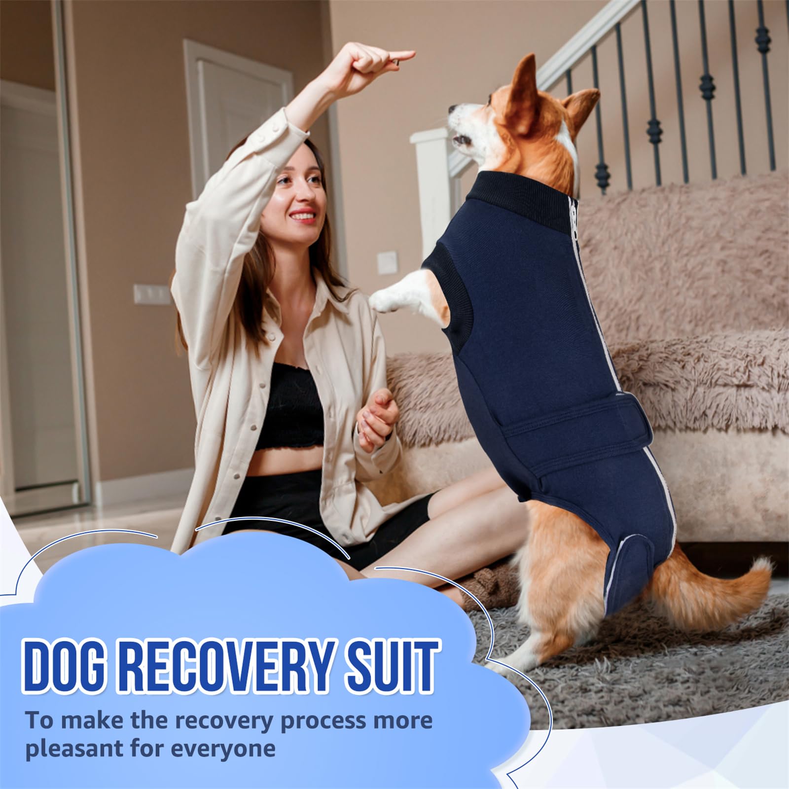 Dog Surgery Recovery Suit - Zipper On Dog Onesies The Dachshund Zone