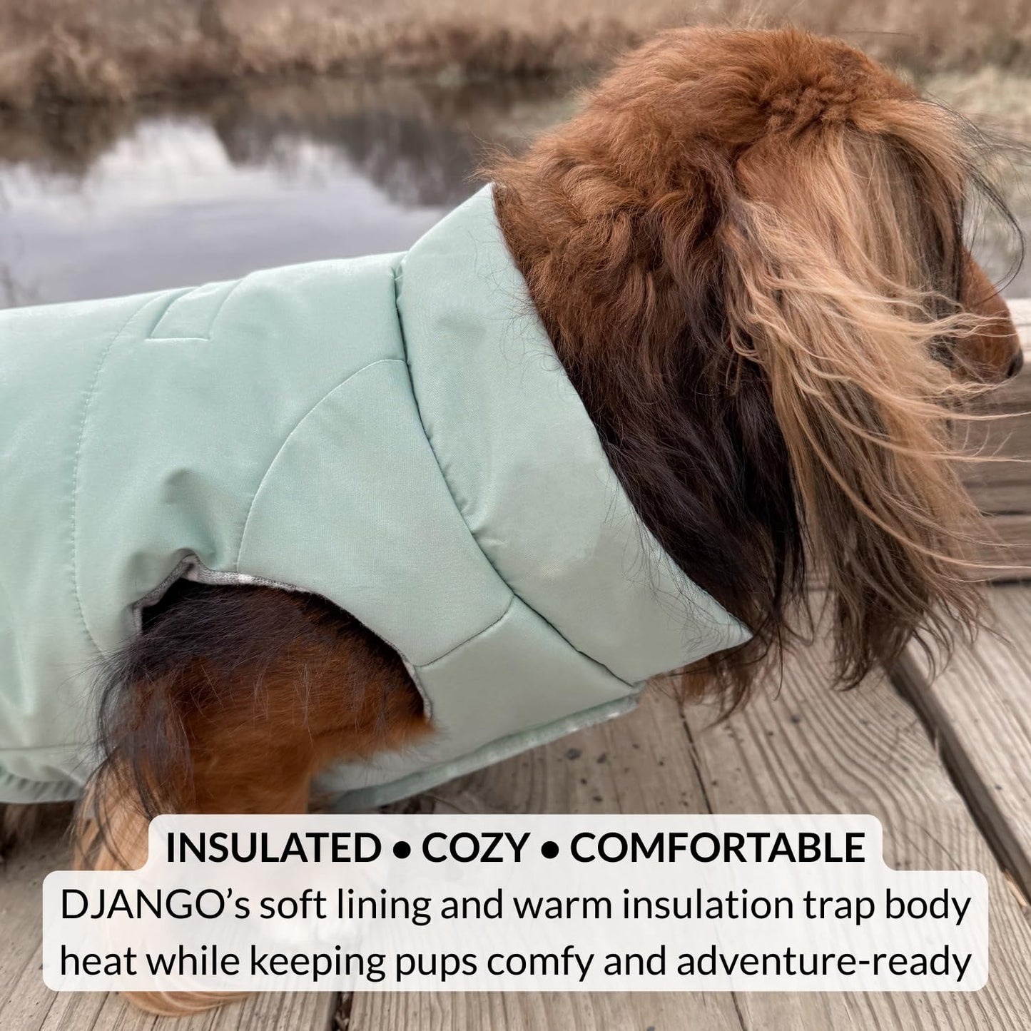 DJANGO Puffer Dog Coat – Warm Winter Dog Jacket & Water-Repellent Insulated Puffer Vest The Dachshund Zone