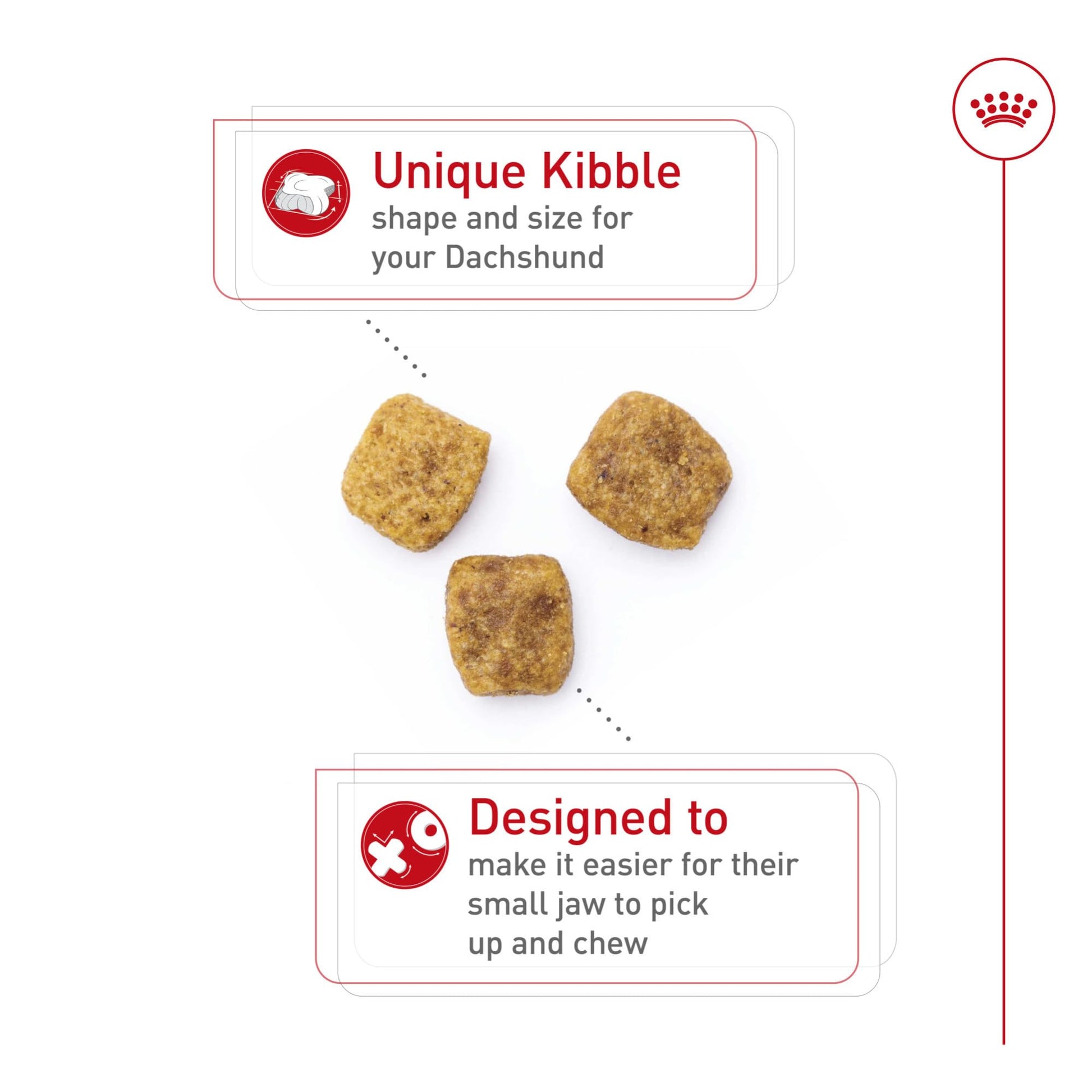 Royal Canin Dachshund Adult Breed Specific Dry Dog Food The Dachshund Zone