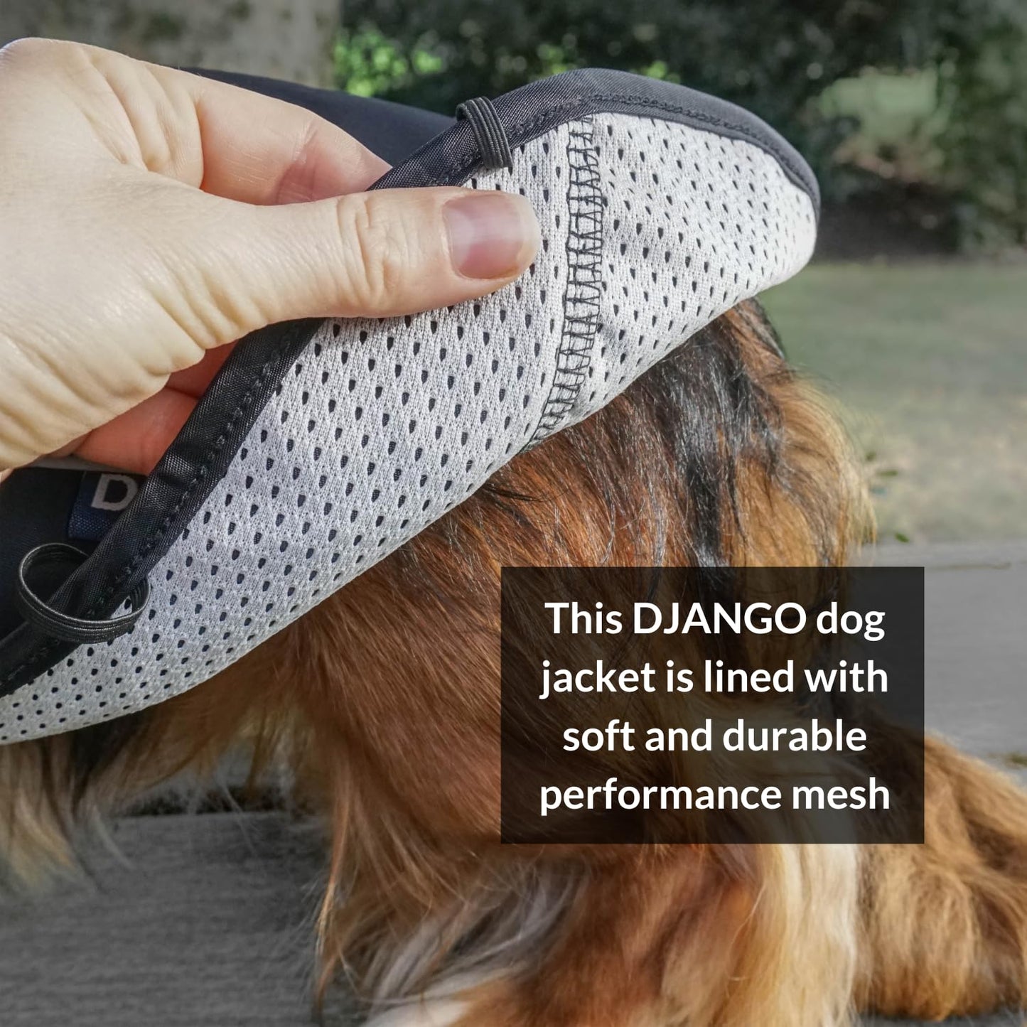DJANGO Dog Jacket & Raincoat – Lightweight Water-Resistant Coat for Long Dogs The Dachshund Zone
