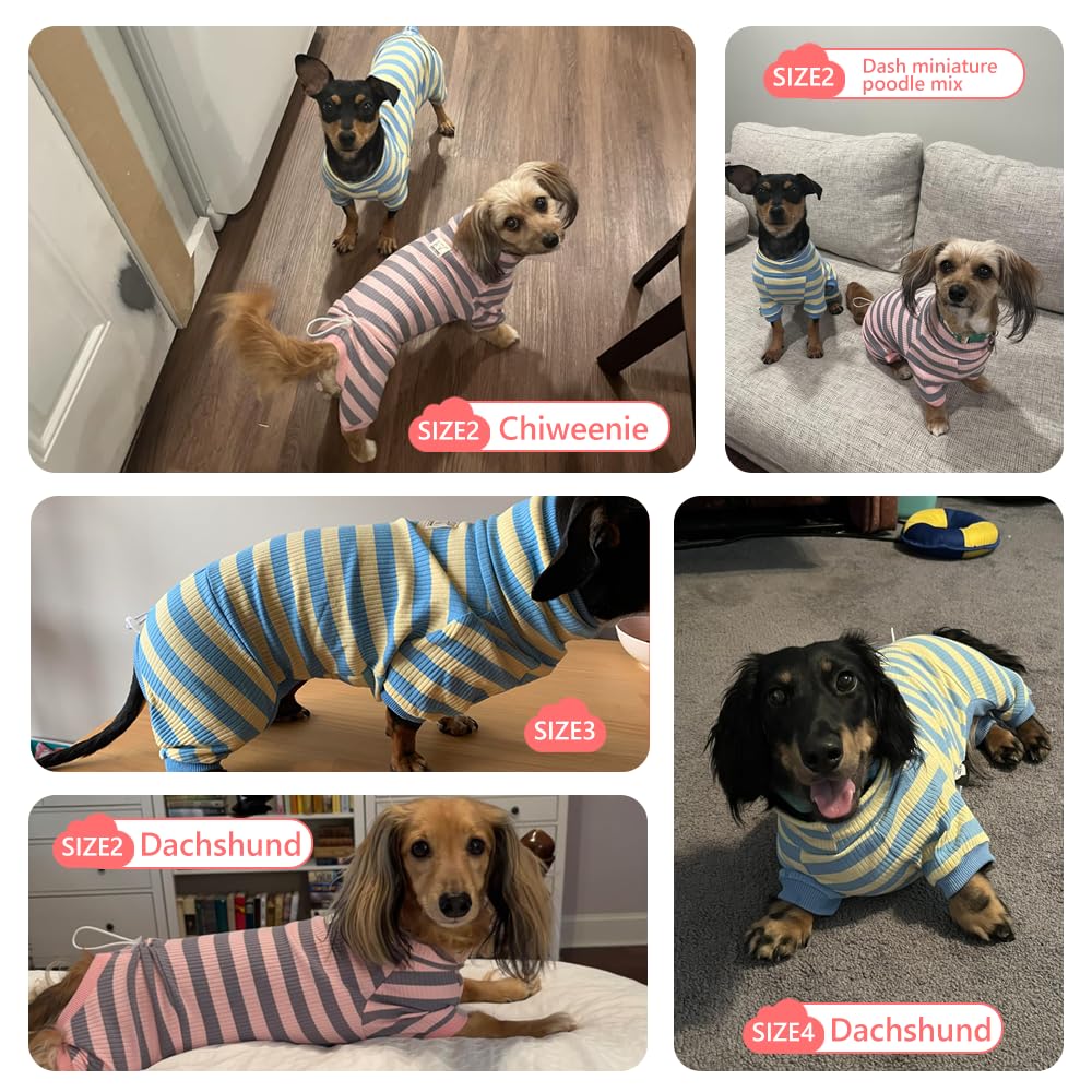 HowlyWoof Dachshund Dog Shirt, Thin Striped Base Layer Onesie for Wiener Dogs, Lightweight All-Season Wear. The Dachshund Zone