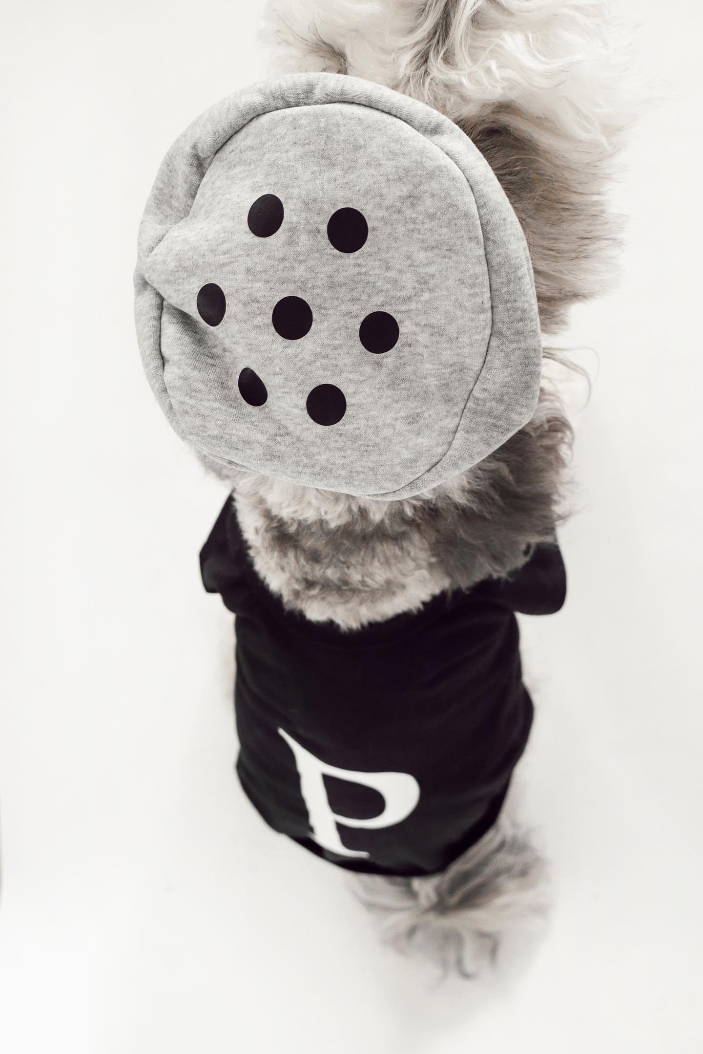 Salt & Pepper Dog Halloween Costume (Pepper, Medium) The Dachshund Zone