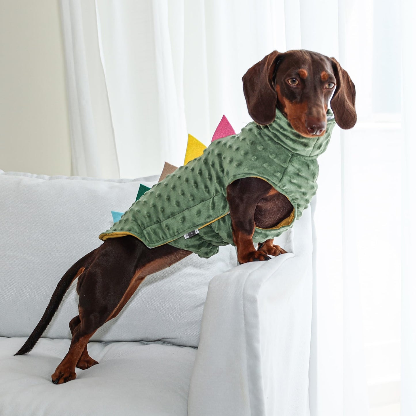 Dinosaur Clothing Dog Shirt The Dachshund Zone