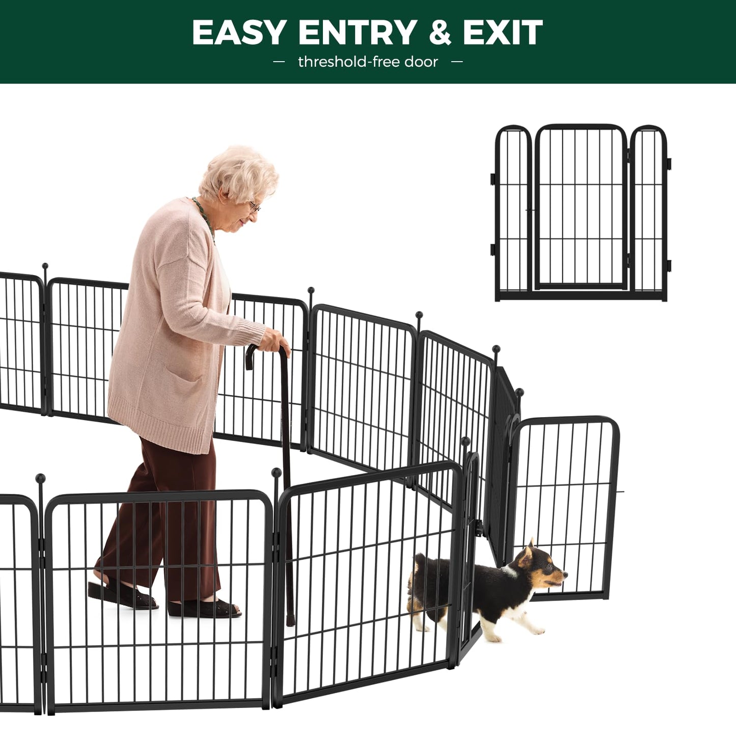 Rollick Unleashed Dog Playpen The Dachshund Zone