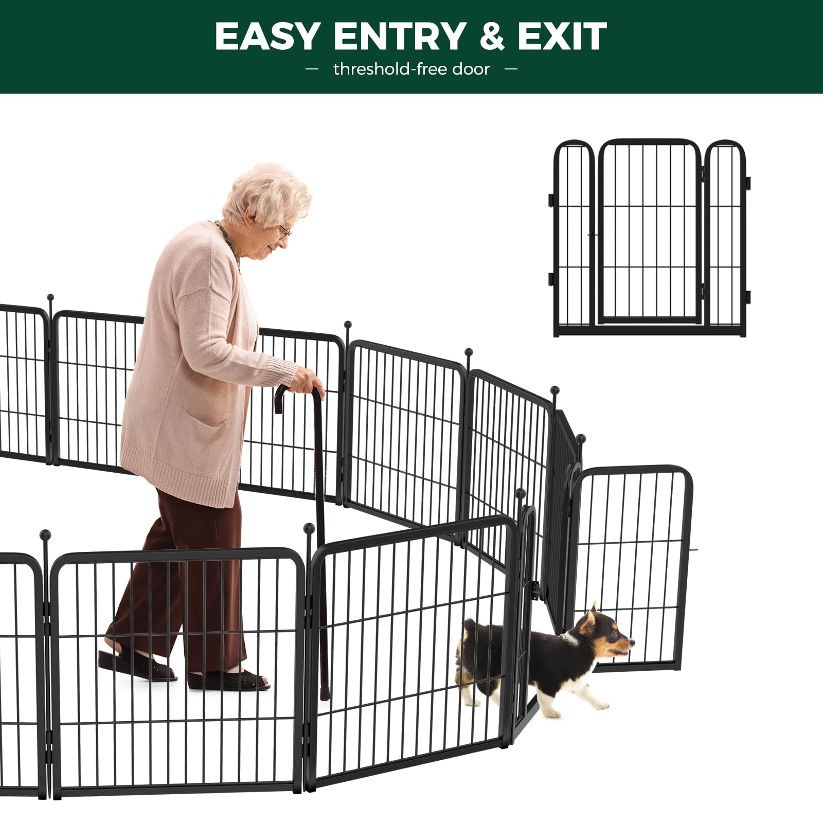 Rollick Unleashed Dog Playpen The Dachshund Zone