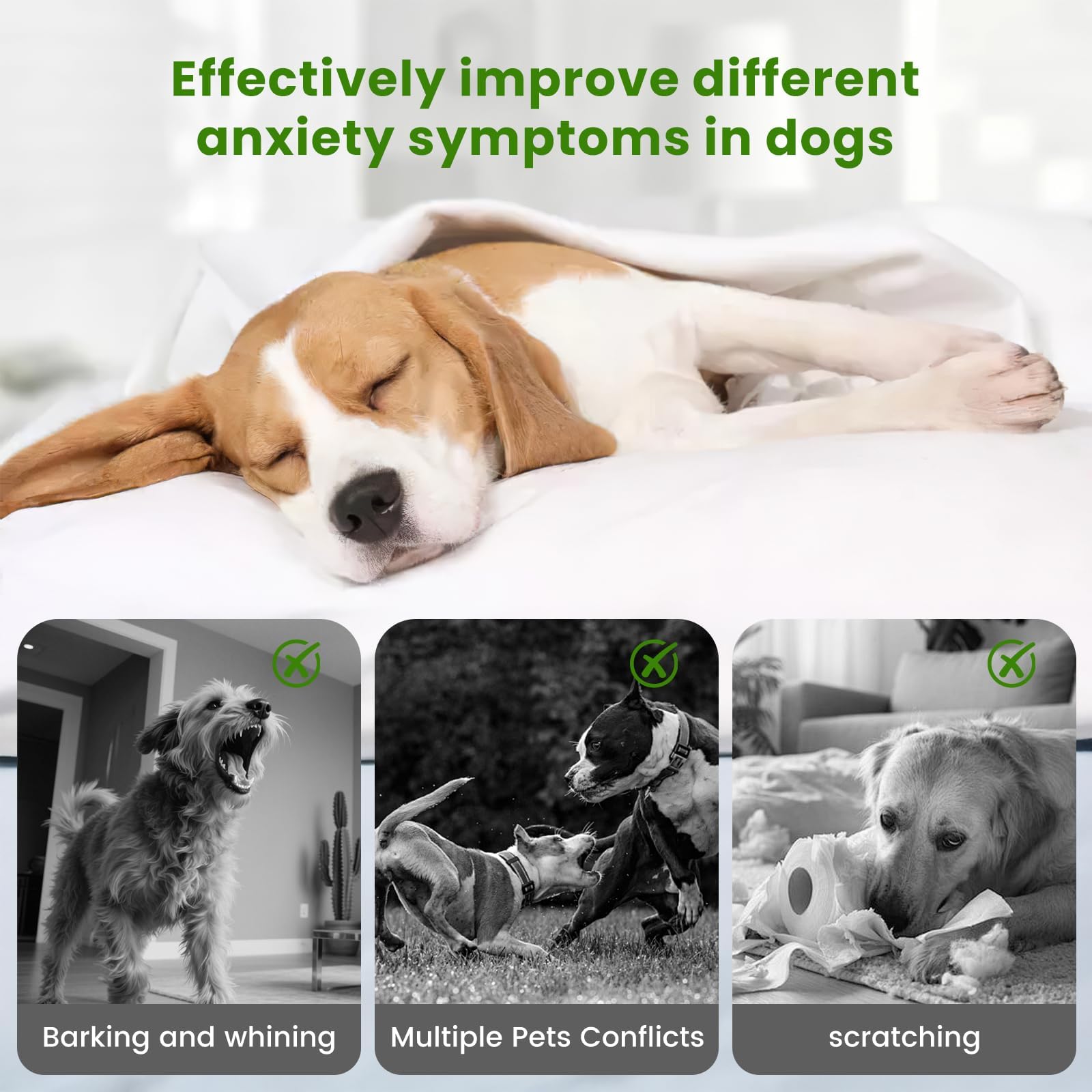 Dog Calming Pheromones Diffuser The Dachshund Zone