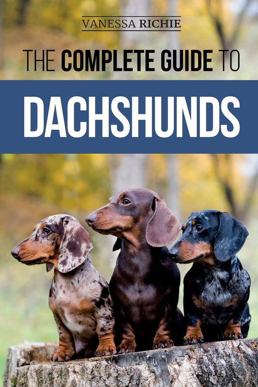 The Complete Guide to Dachshunds: The Dachshund Zone