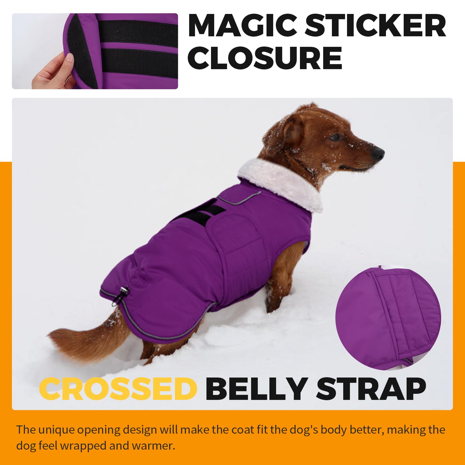 LeLePet Dachshund Coat - Warm, Waterproof Winter Jacket The Dachshund Zone
