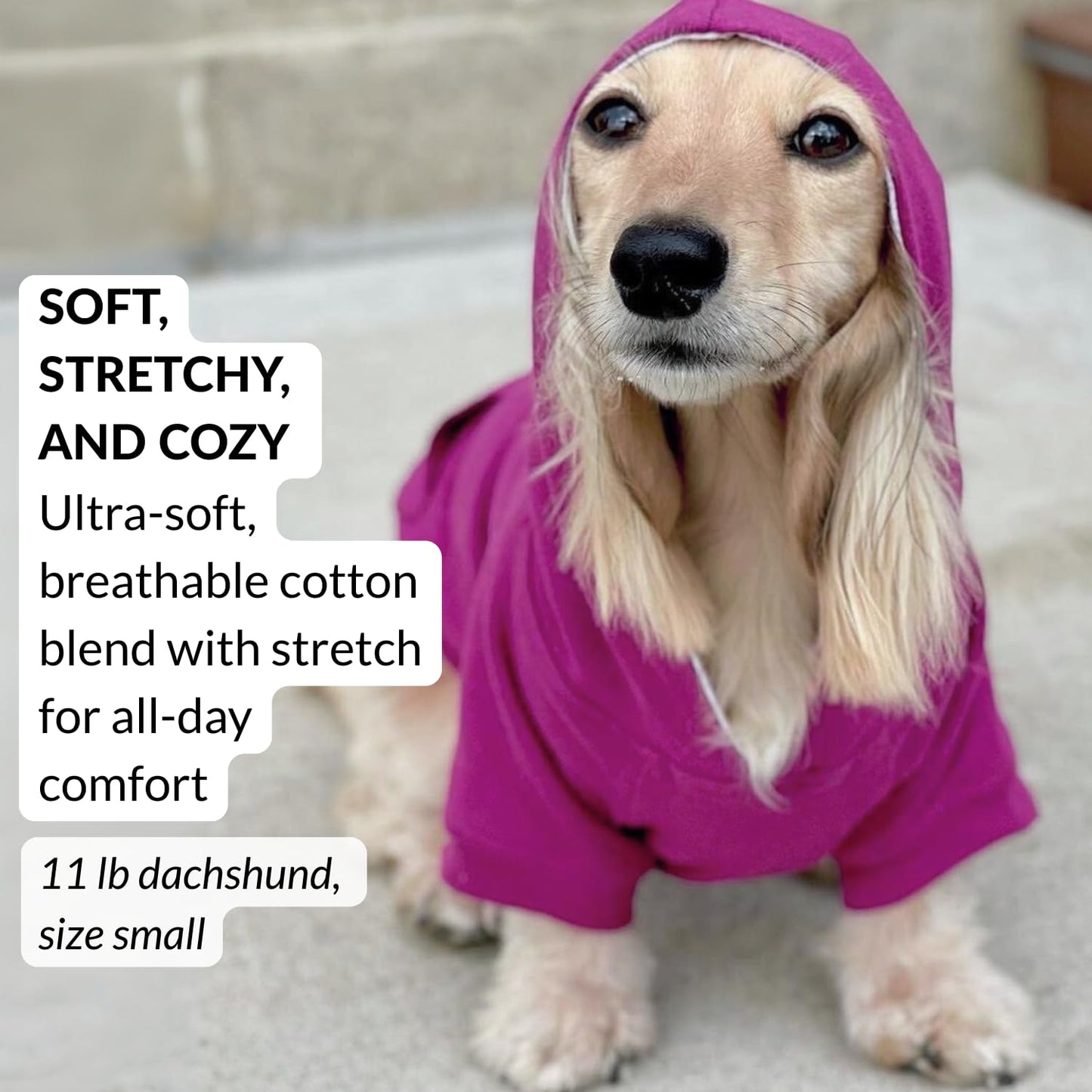 Dog Hoodie – Warm Winter Dog Sweater & Fully Lined The Dachshund Zone