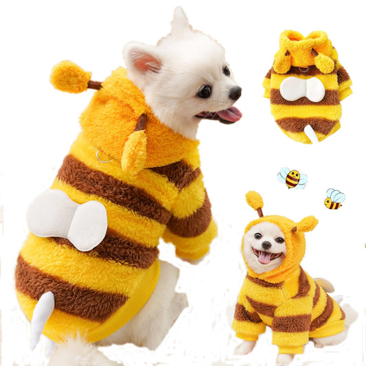 Dog Bee Costumes for Halloween The Dachshund Zone