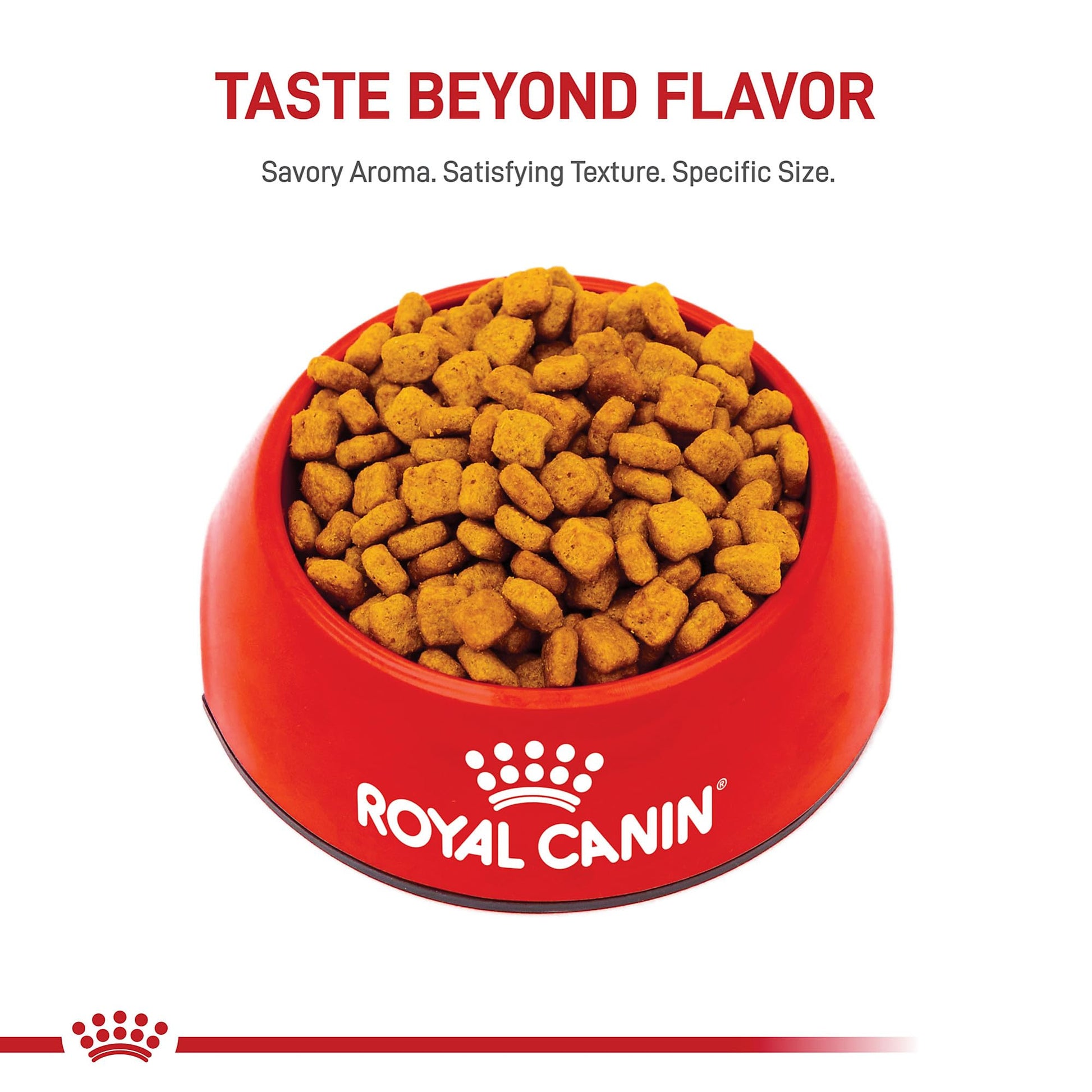 Royal Canin Dachshund Adult Breed Specific Dry Dog Food The Dachshund Zone