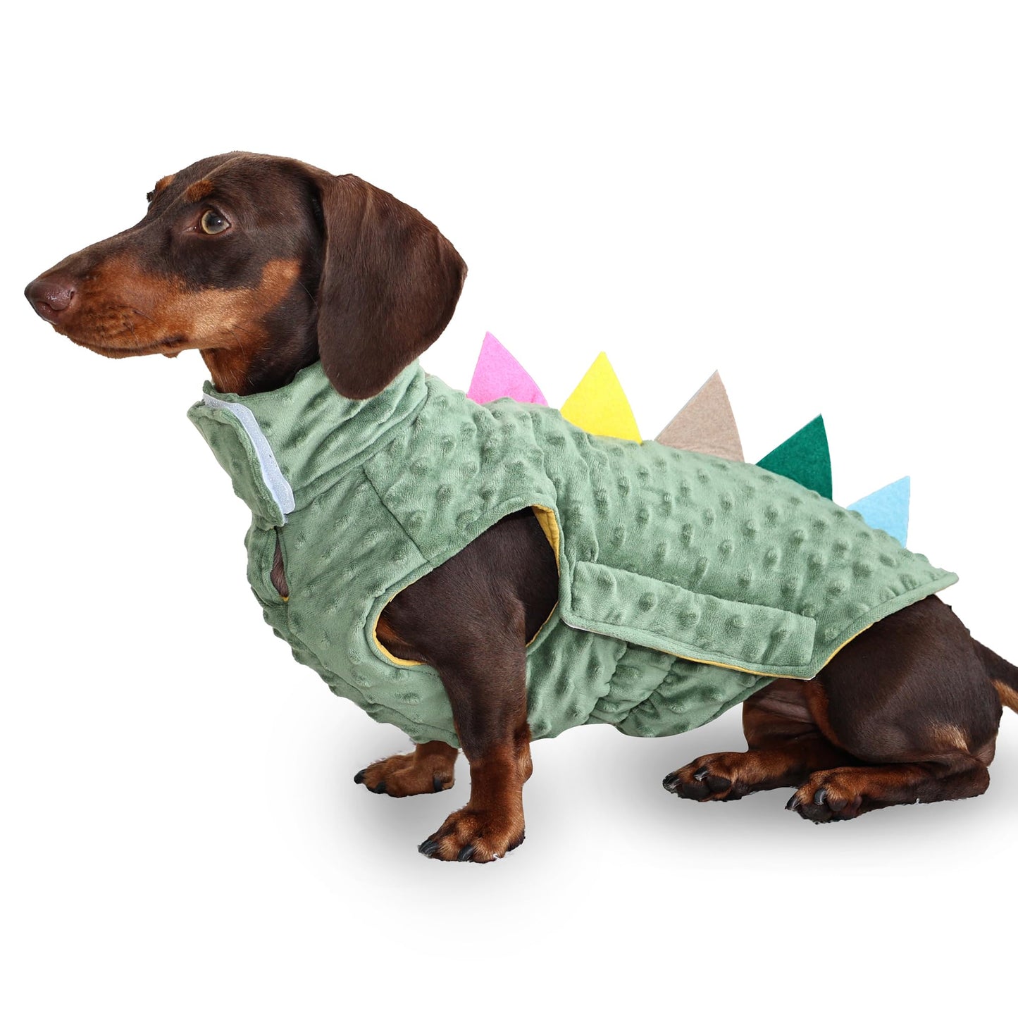 Dinosaur Clothing Dog Shirt The Dachshund Zone