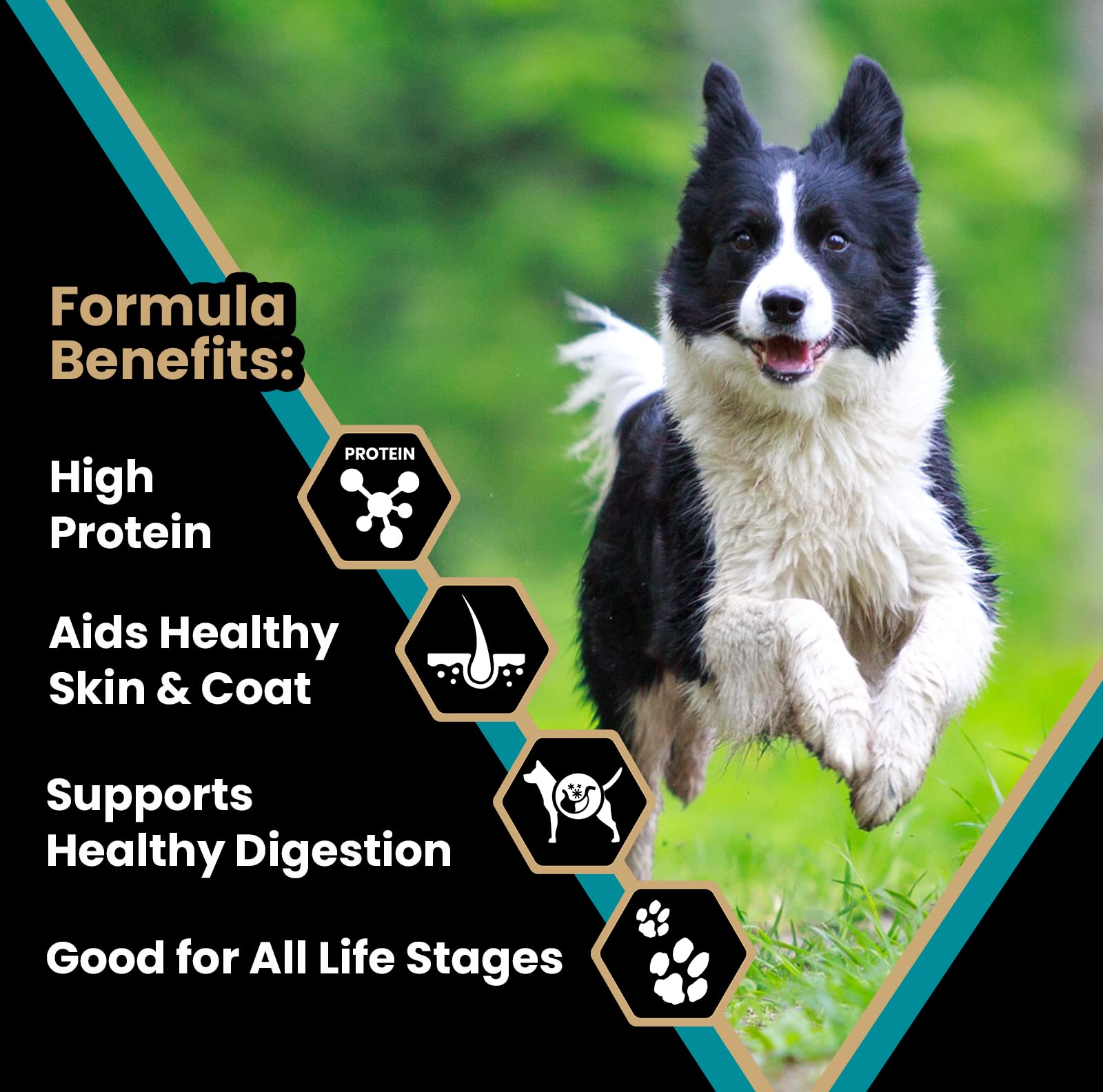 VICTOR Super Premium Dog Food – Hi-Pro Plus Dry Kibble The Dachshund Zone