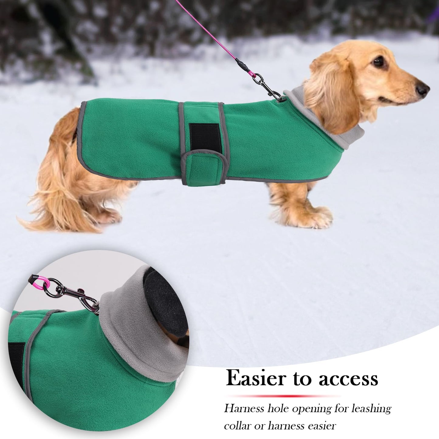 Dachshund Sweaters - Dachshund Dog Jacket The Dachshund Zone