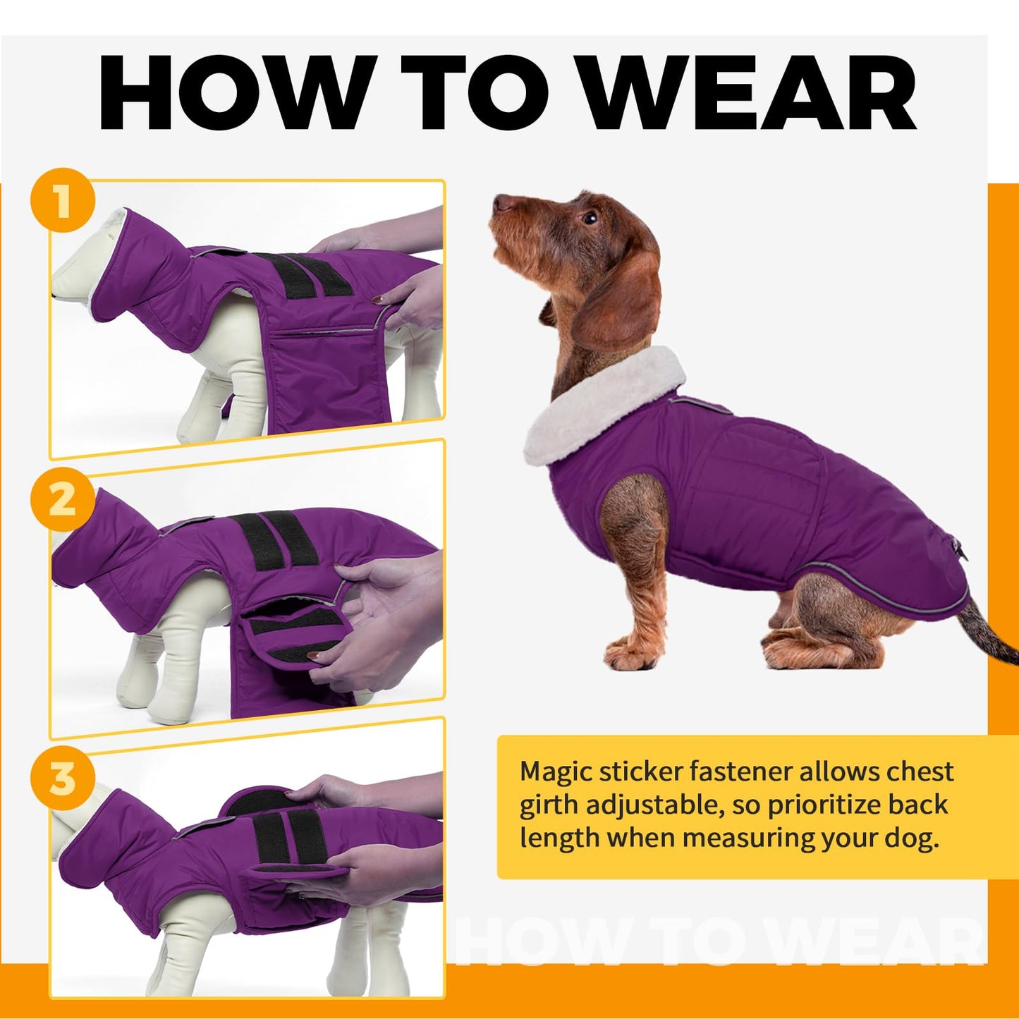 LeLePet Dachshund Coat - Warm, Waterproof Winter Jacket The Dachshund Zone