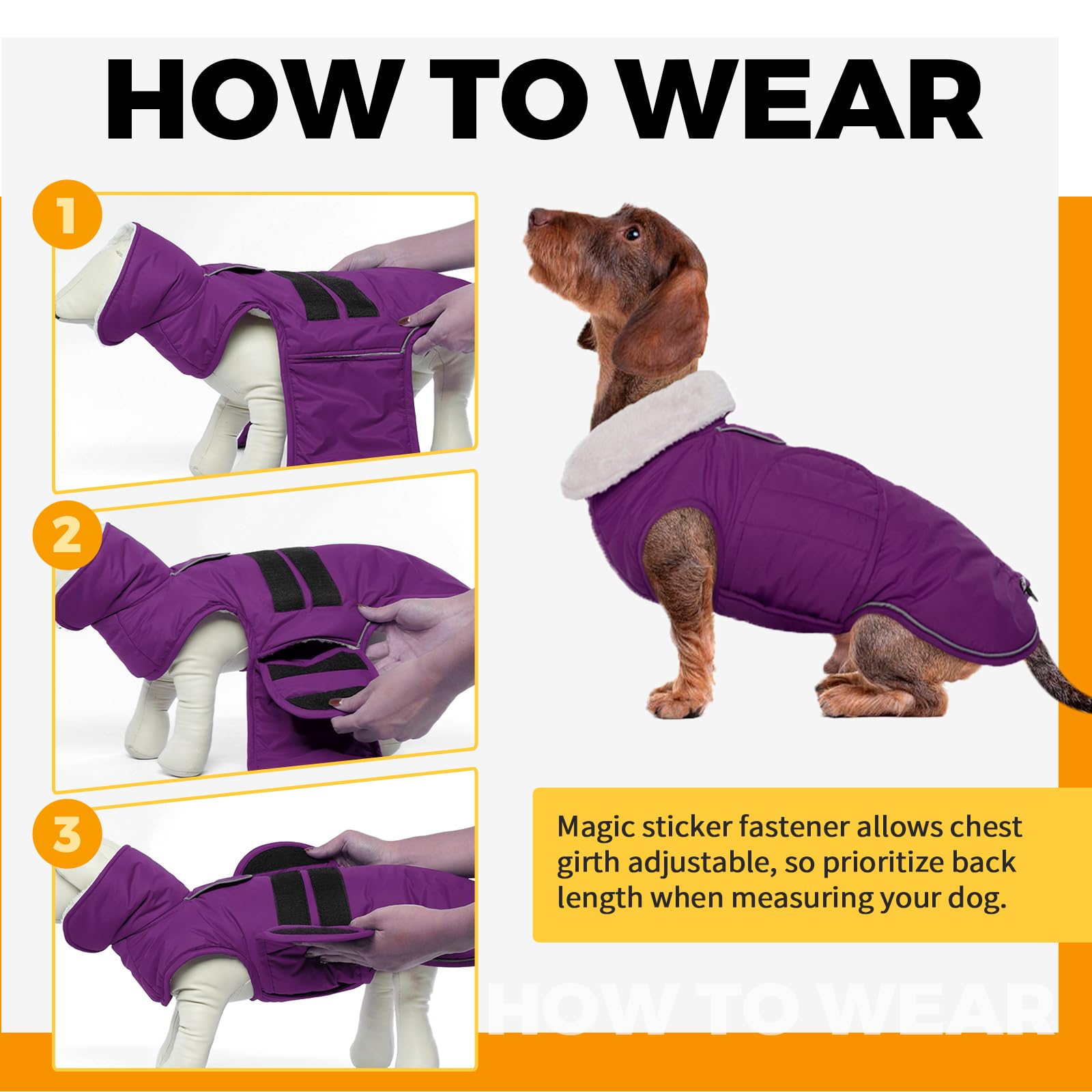 LeLePet Dachshund Coat - Warm, Waterproof Winter Jacket The Dachshund Zone