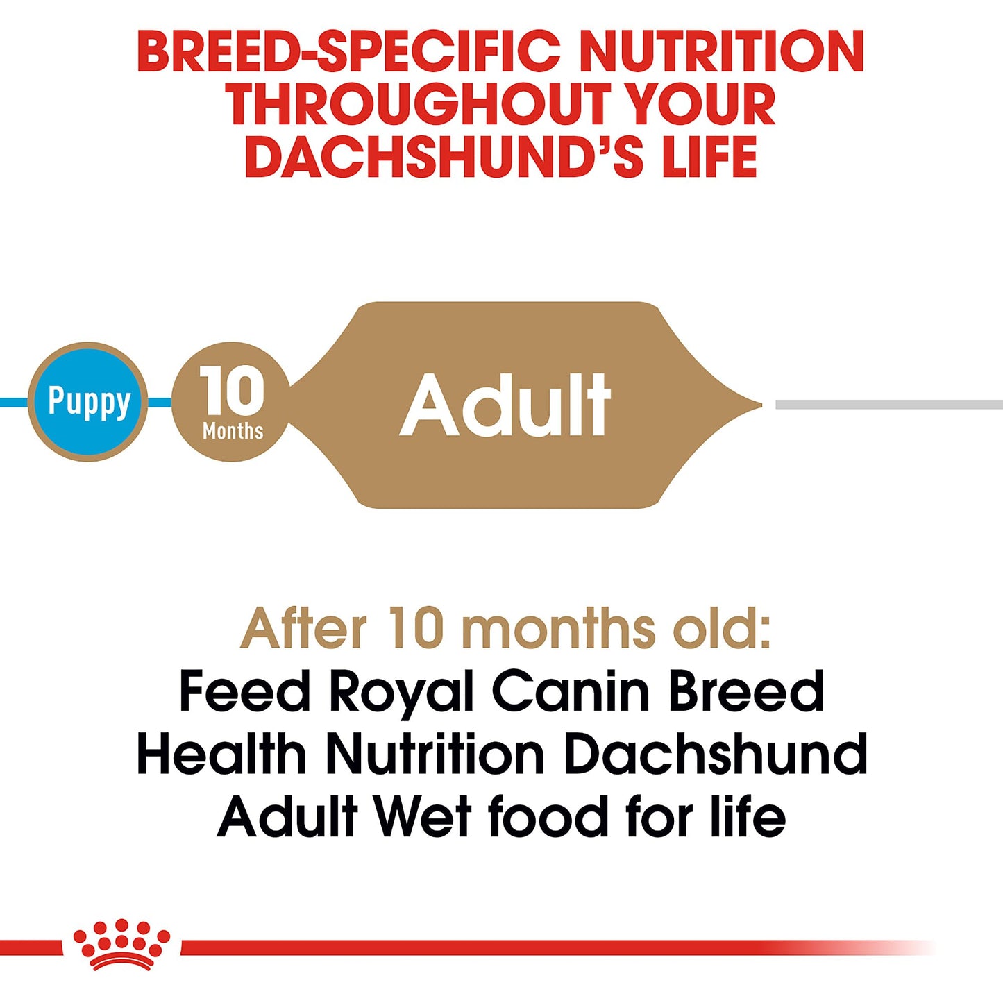 Royal Canin Breed Health Adult Loaf in Sauce The Dachshund Zone