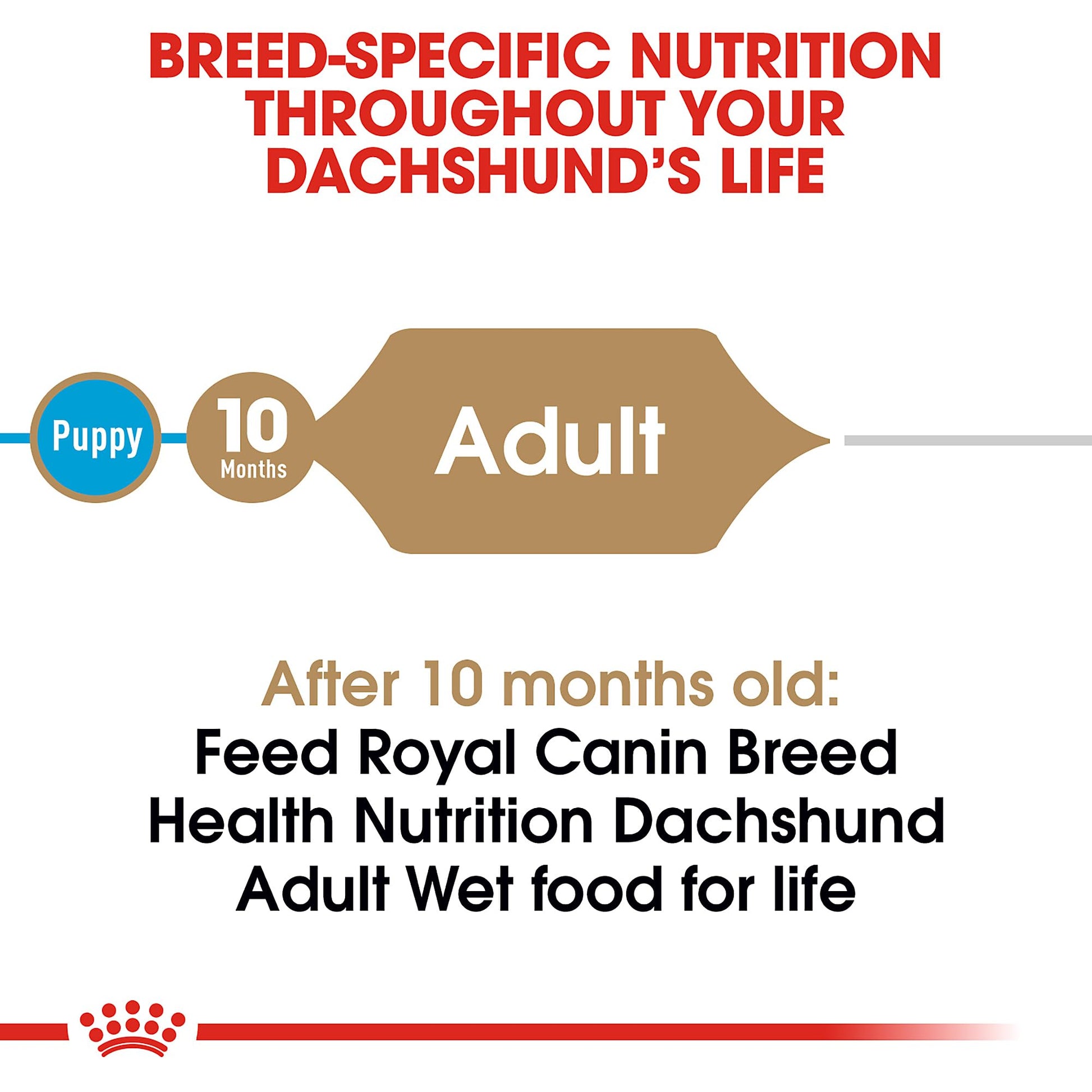 Royal Canin Breed Health Adult Loaf in Sauce The Dachshund Zone