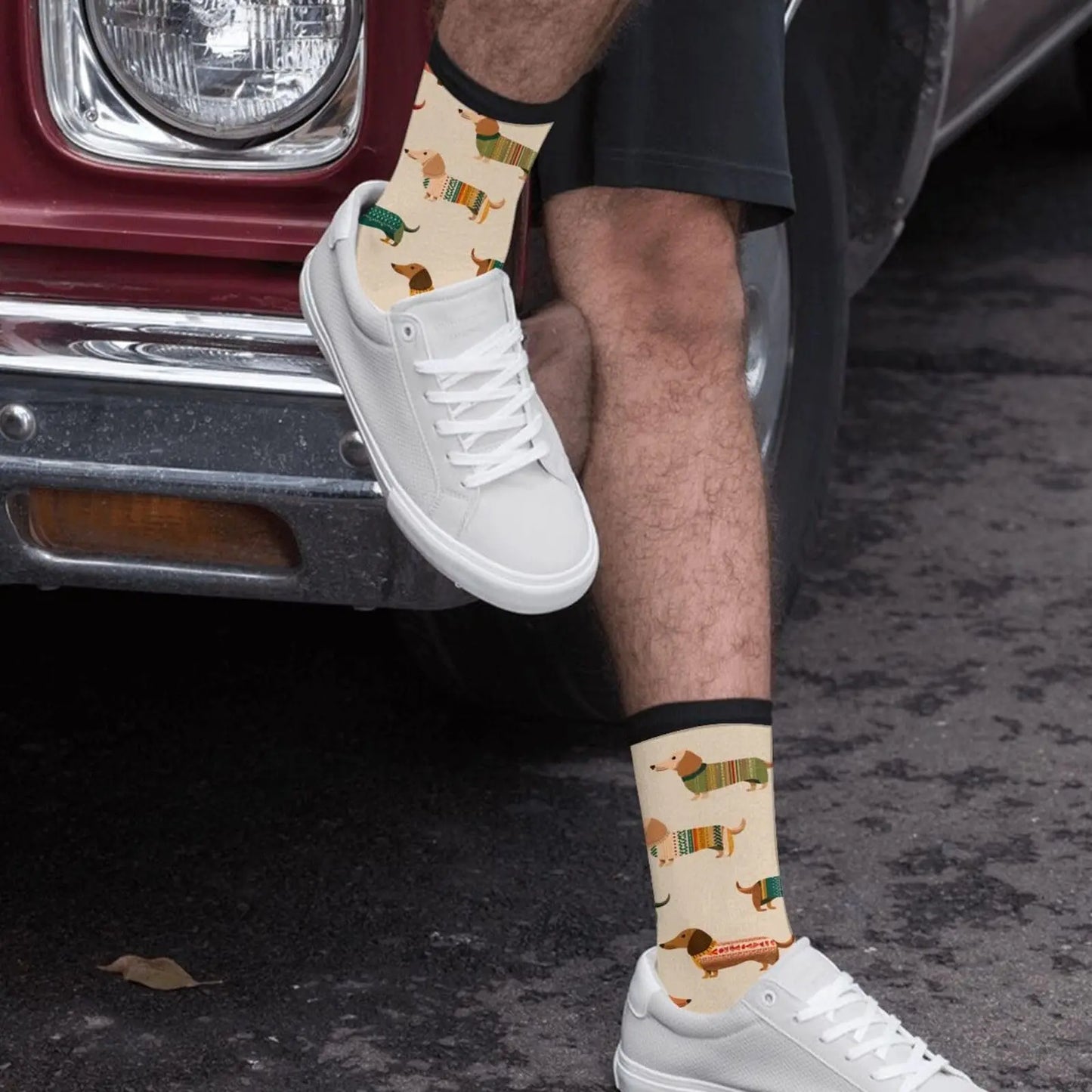 Funny Dachshund Novelty Socks Casual For Women Men Gifts The Dachshund Zone