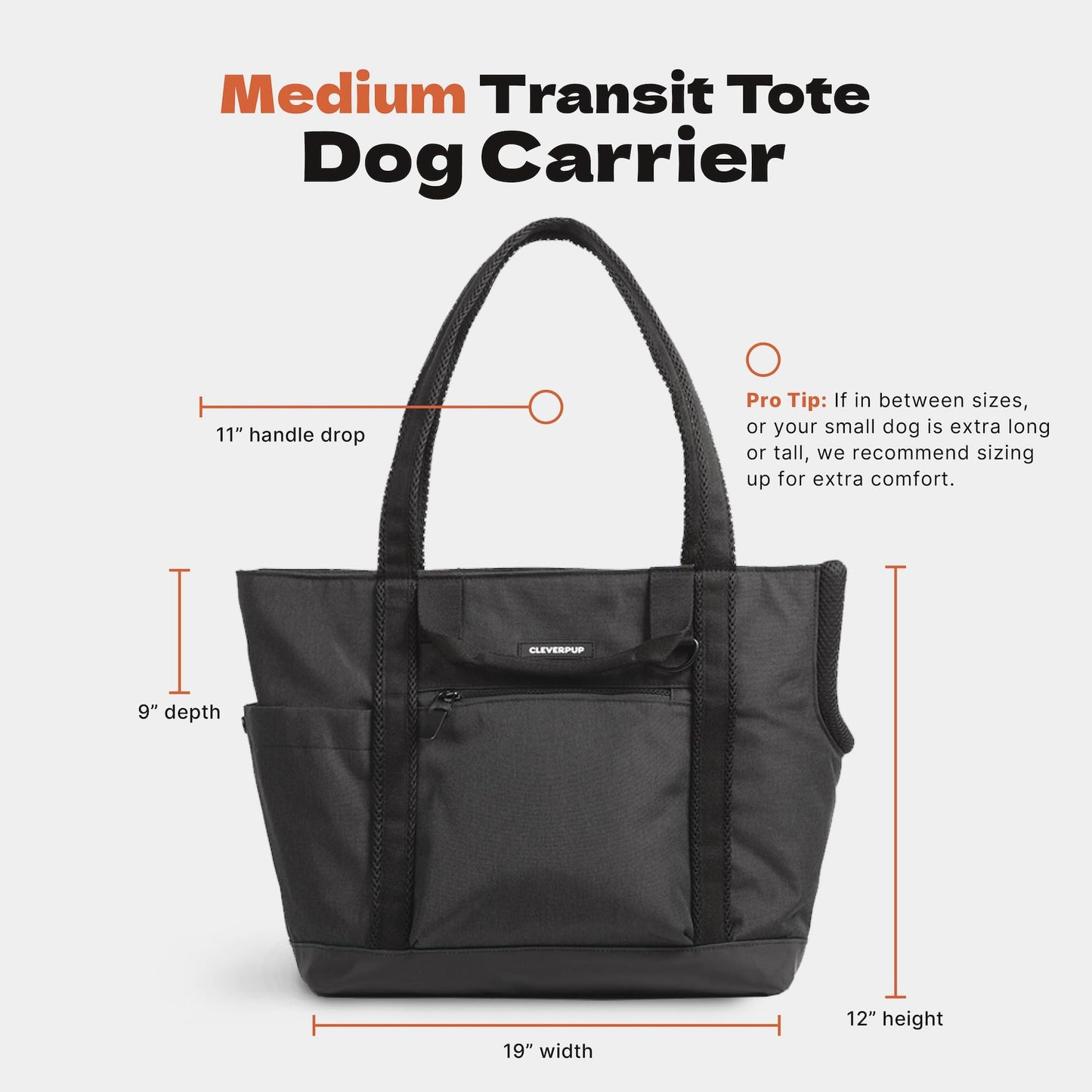 Cleverpup Transit Tote Dog Carrier for Small/Medium Dogs 8-20 lbs, 19x12x9 Soft-Sided 4-Pc Set with Waterproof Base, Plush Insert, Food Pouch, Mesh Head Opening - Medium, Sand The Dachshund Zone