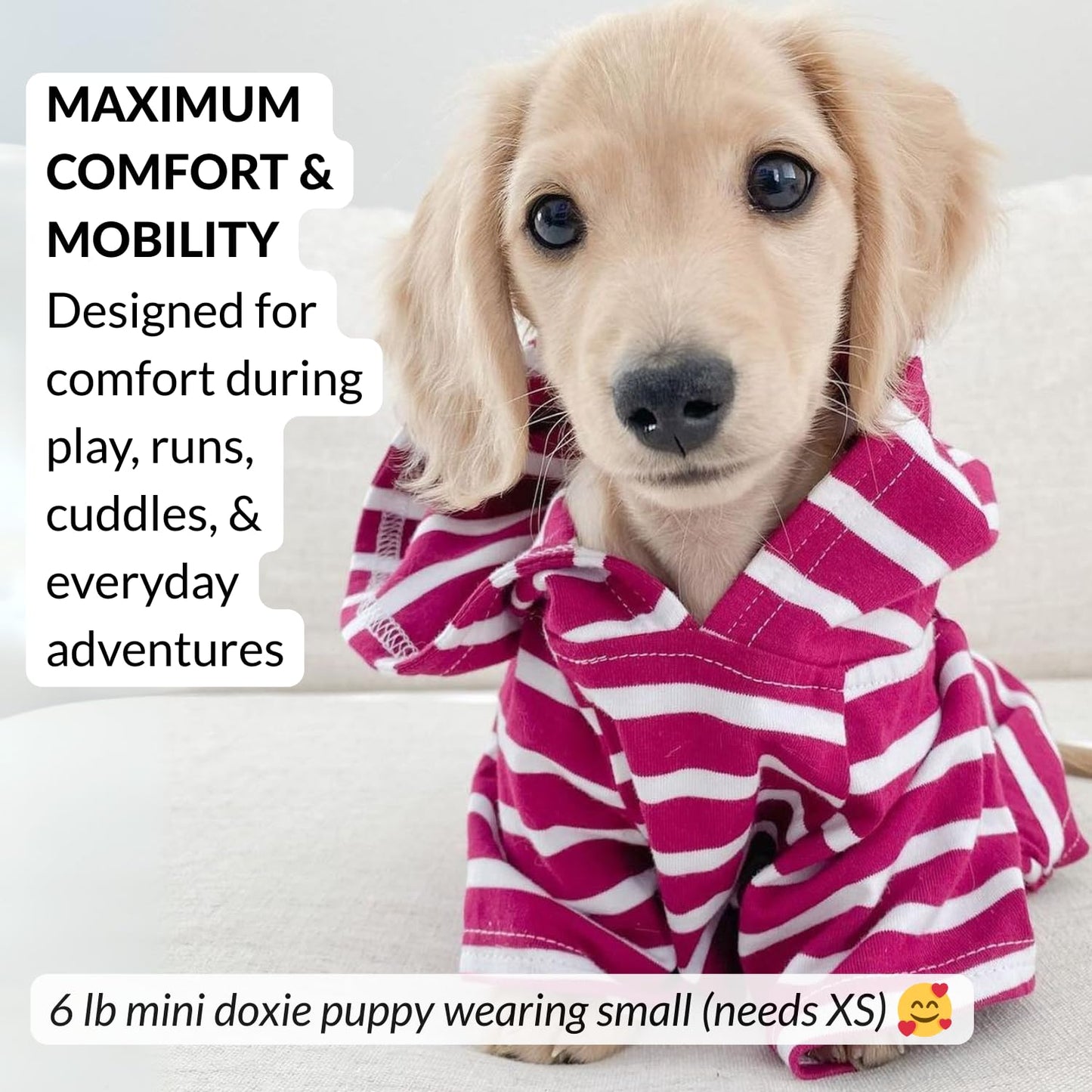 Dog Hoodie – Warm, Lightweight, Soft & Stretchy Dog Sweater The Dachshund Zone