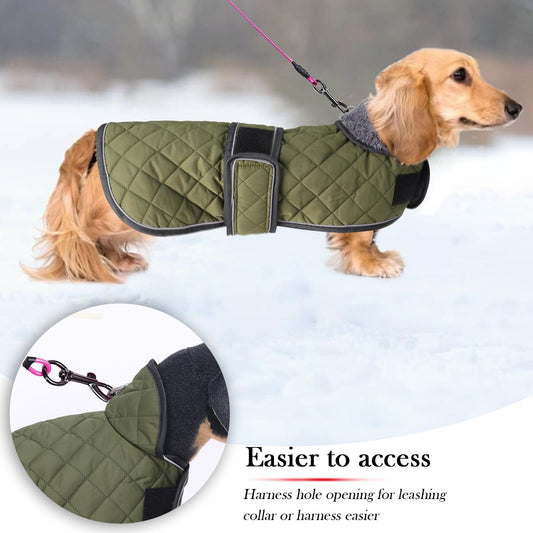Warm Thermal Quilted Dachshund Coat,Dog Winter Coat with Warm Fleece Lining The Dachshund Zone