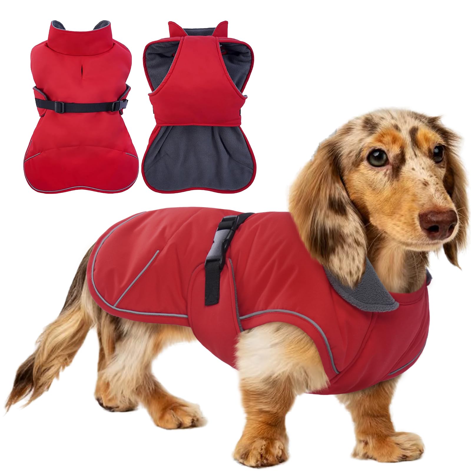 Tiny Dachshund Coat with Warm Fleece Lining, Mini Weiner Vest Jackets, Waterproof & Windproof Wiener Winter Clothes, Outdoor Clothes for Small Dachshunds Puppy, Boys & Girls Long Back Dogs(Red, XS) The Dachshund Zone