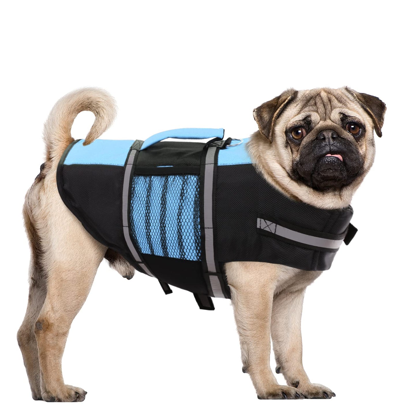 Queenmore Small Dog Life Jacket, Adjustable Pet Life Vest for Small Dogs with High Buoyancy, Rescue Handle, Reflective Bands for Boating, Canoeing, Swimming The Dachshund Zone