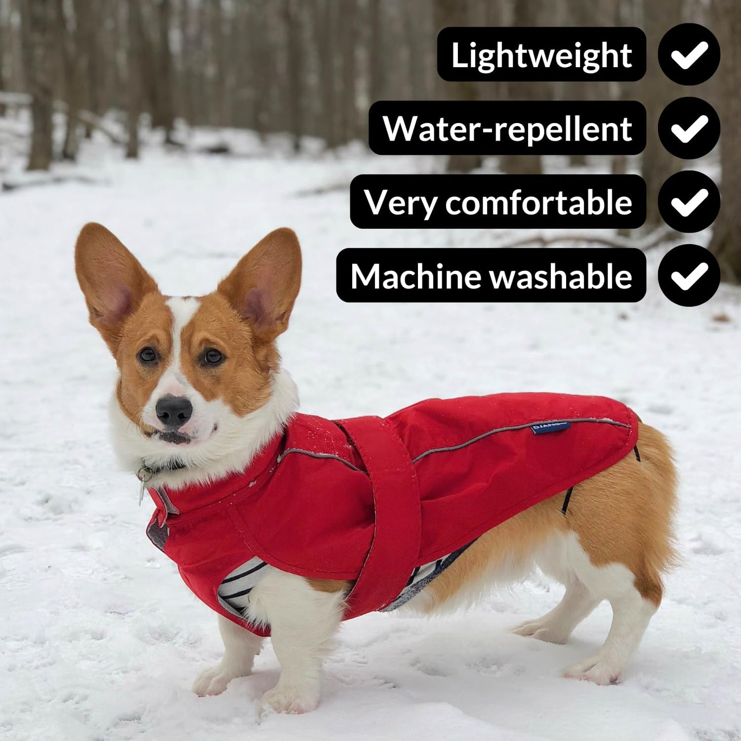 DJANGO Dog Jacket & Raincoat – Lightweight Water-Resistant Coat for Long Dogs The Dachshund Zone