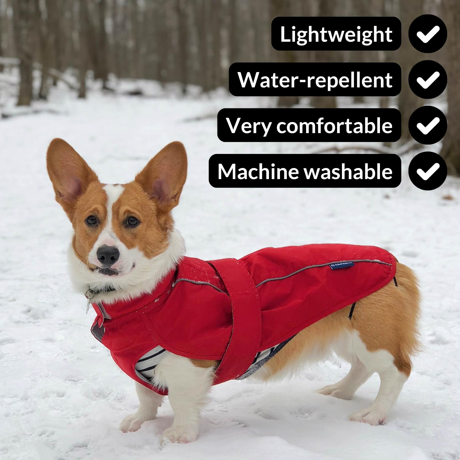 DJANGO Dog Jacket & Raincoat – Lightweight Water-Resistant Coat for Long Dogs The Dachshund Zone