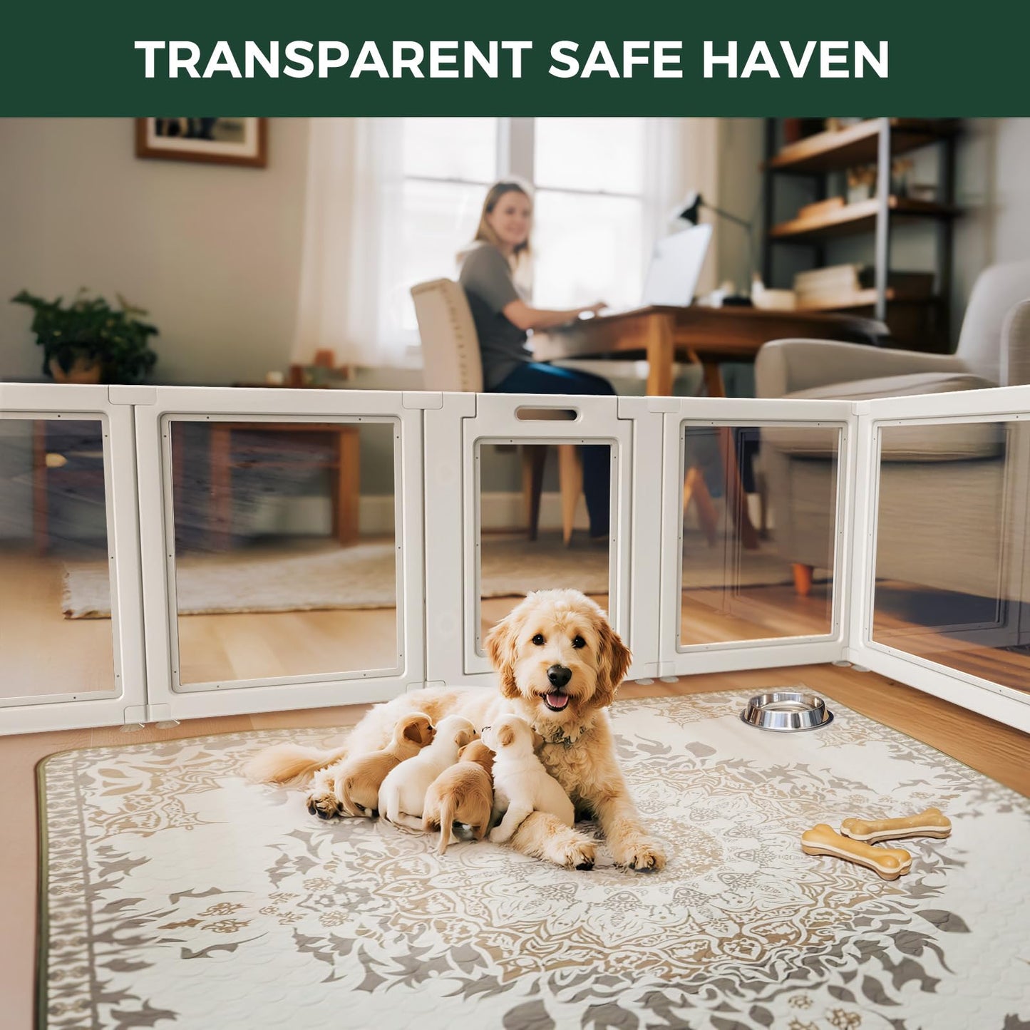 FXW AuraSpace Acrylic Indoor Dog Playpen for Puppies and Small Dogs, 24 Inch, 8 Panels, White The Dachshund Zone