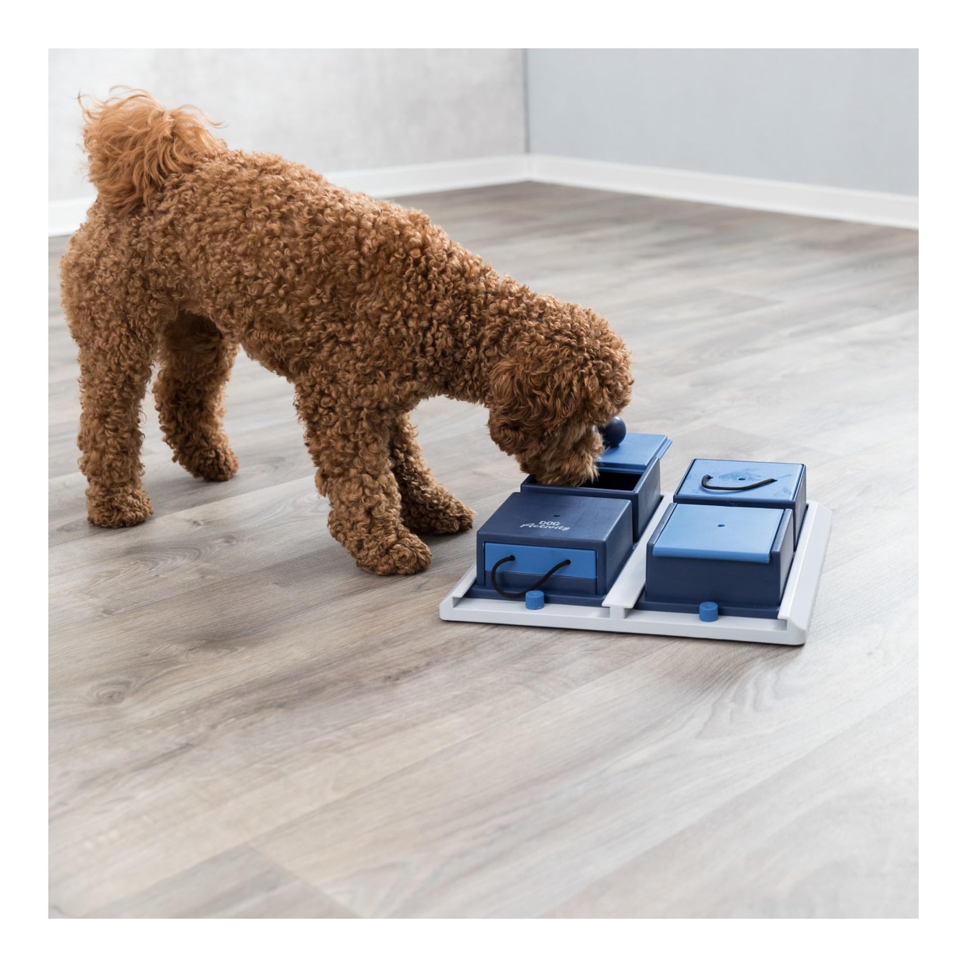 TRIXIE Poker Box 1 Dog Enrichment Toy The Dachshund Zone