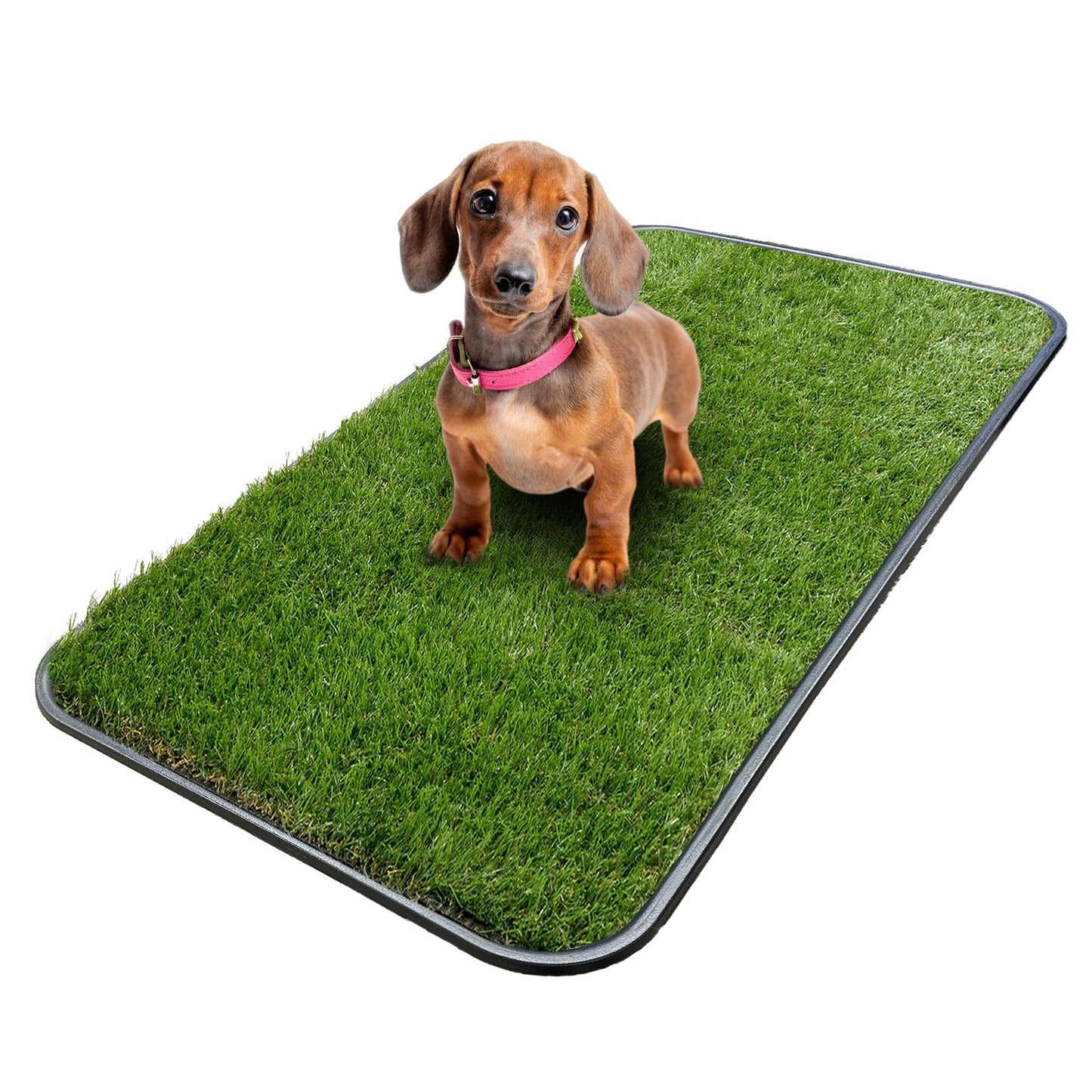 Ottomanson Artificial Grass Puppy Potty Training Pad with Tray, 15" x 30" Reusable Pee Pad The Dachshund Zone